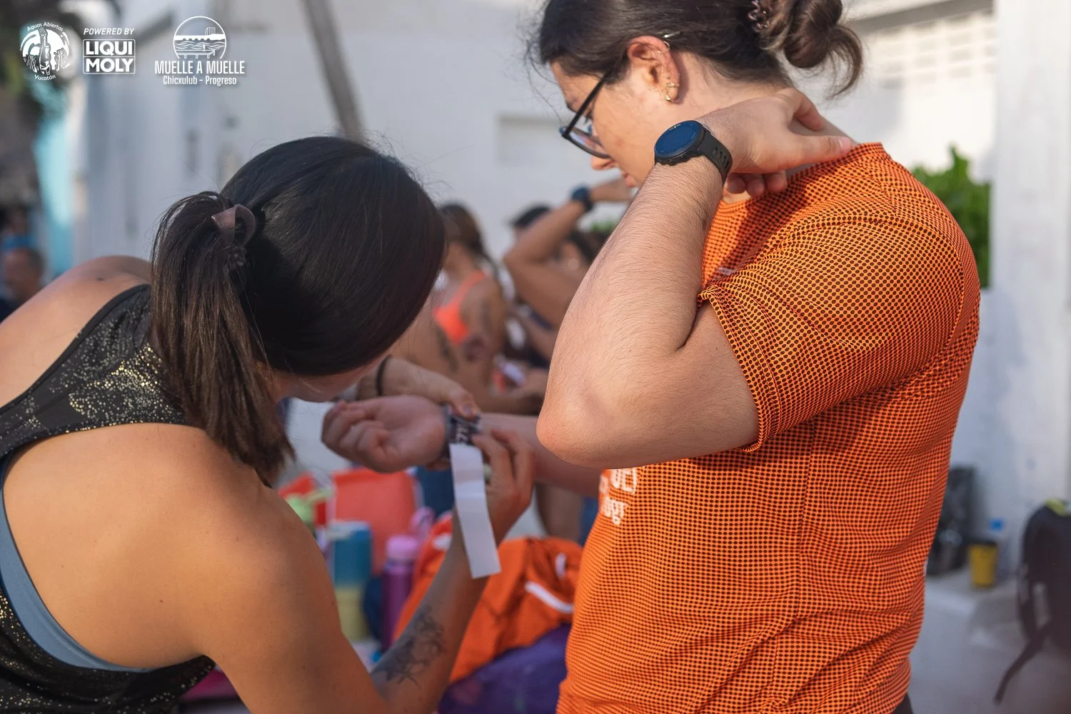 Muelle a Muelle 2025-7.jpg