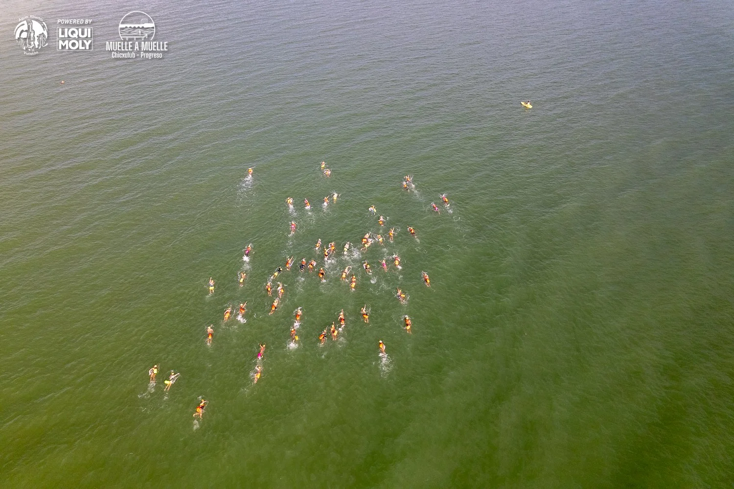 Muelle a Muelle 2025-85.jpg