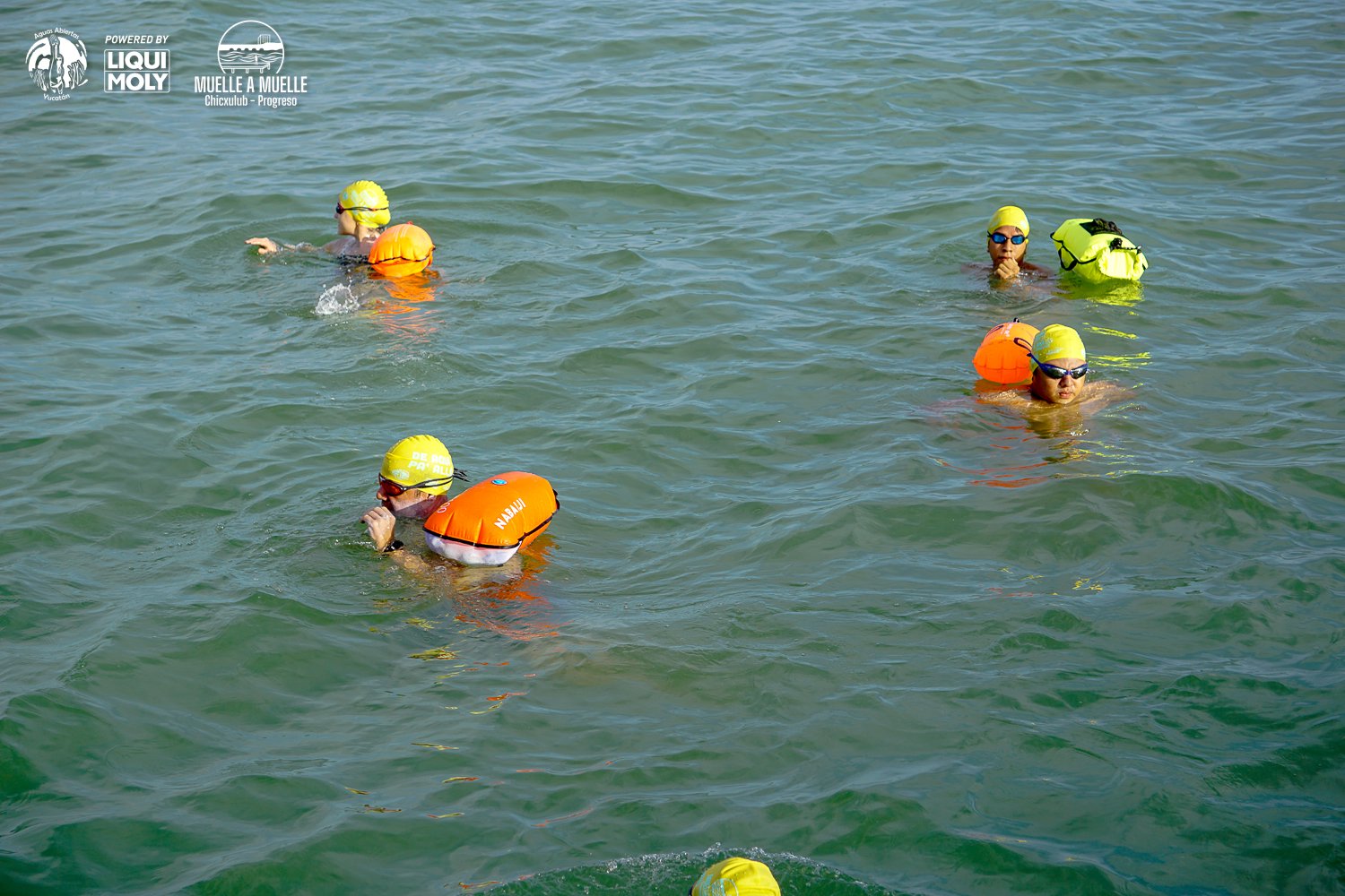 Muelle a Muelle 2025-86.jpg