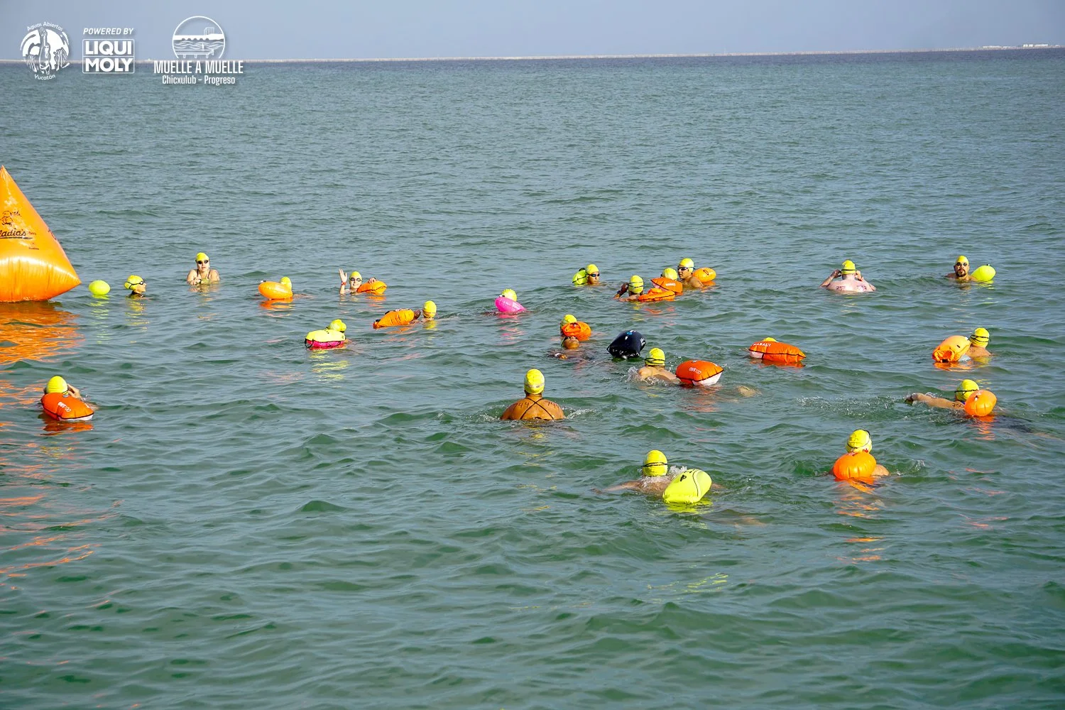 Muelle a Muelle 2025-88.jpg