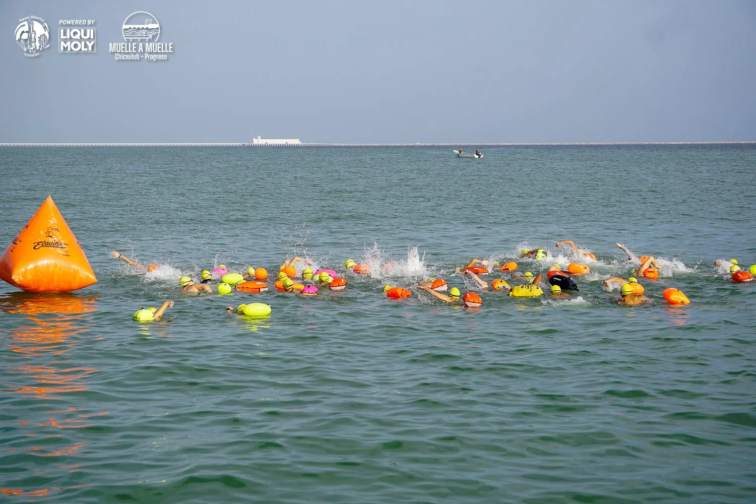 Muelle a Muelle 2025-90.jpg