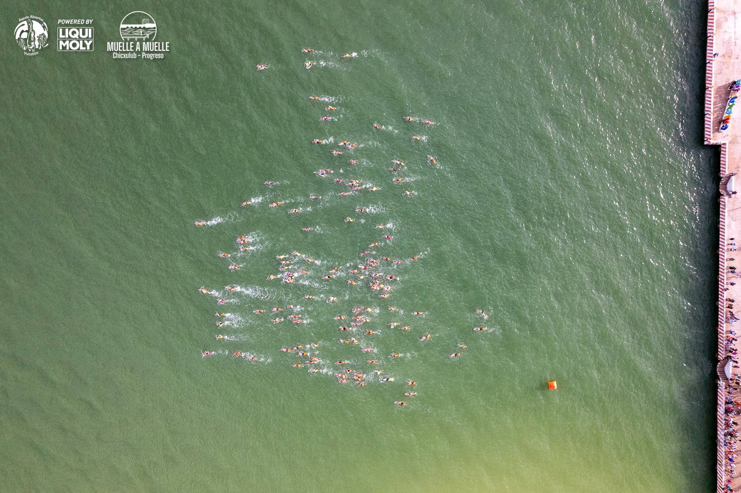 Muelle a Muelle 2025-100.jpg