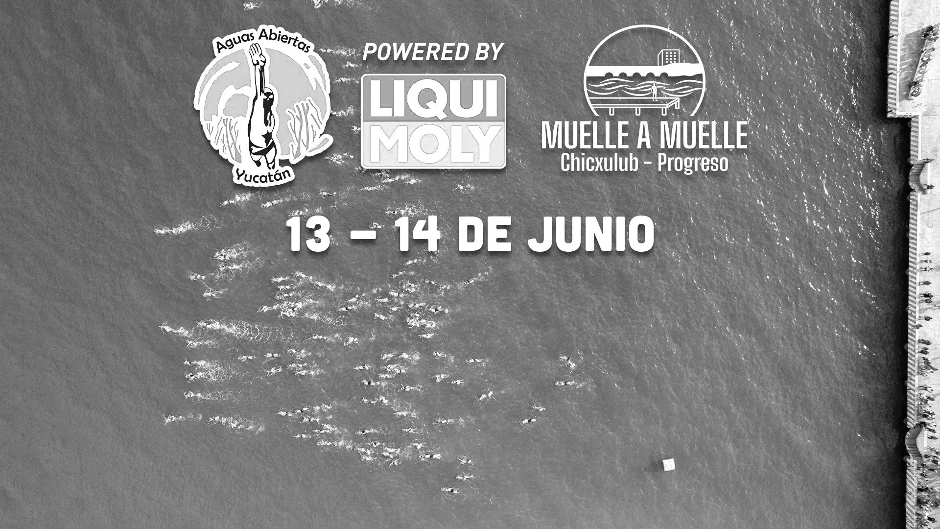 Muelle a Muelle