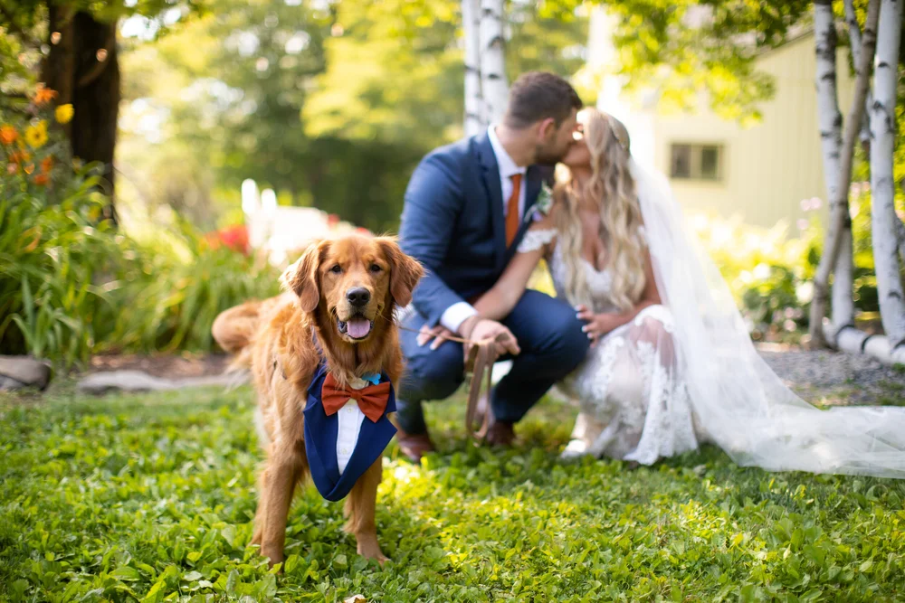 Linda Conley Photography