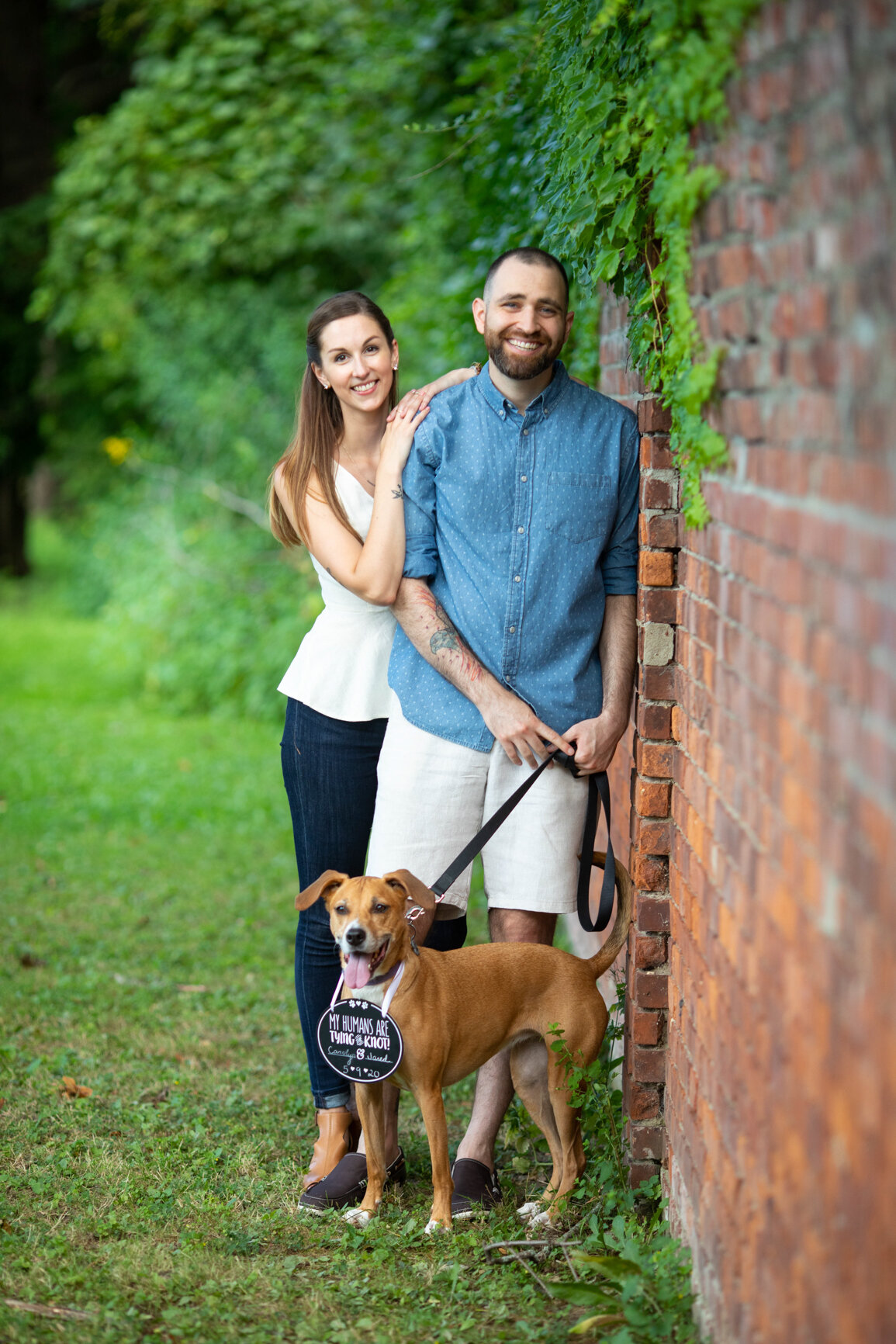 Love-Based Dog Walking, Albany, NY