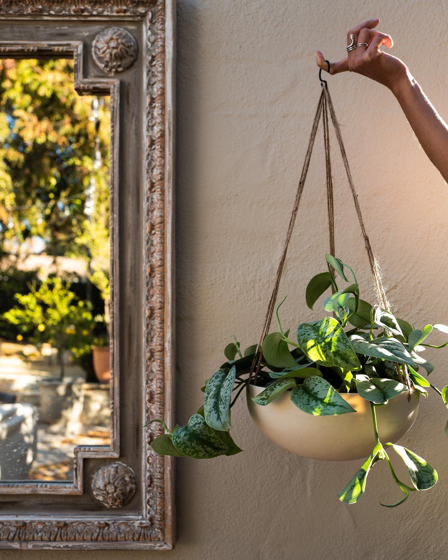 inspired by our inability to find sophisticated, minimalist hanging planters for our clients, we decided to build our own. now we're excited to make them accessible to anyone looking for hanging planters that make a statement with their simplicity an