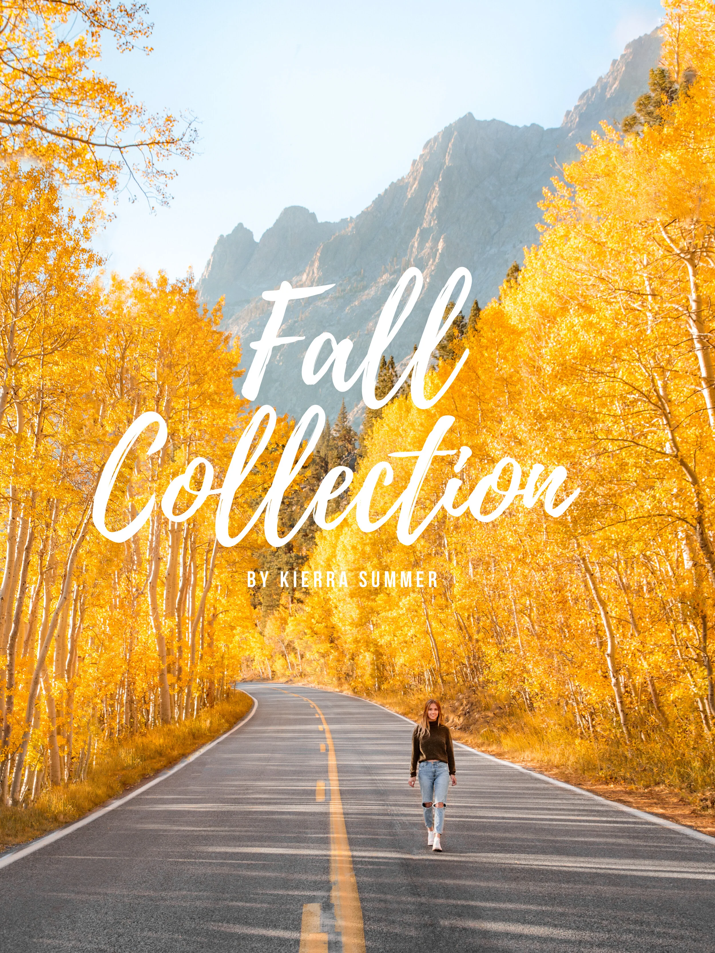 Fall Preset Collection