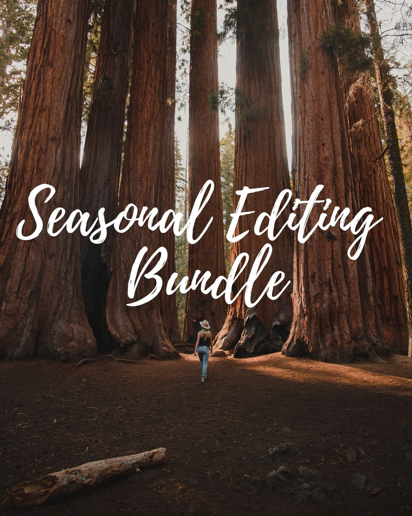 Seasonal Editing Bundle