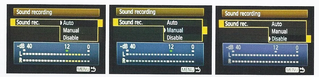 Auto, Manual, and Disable audio options