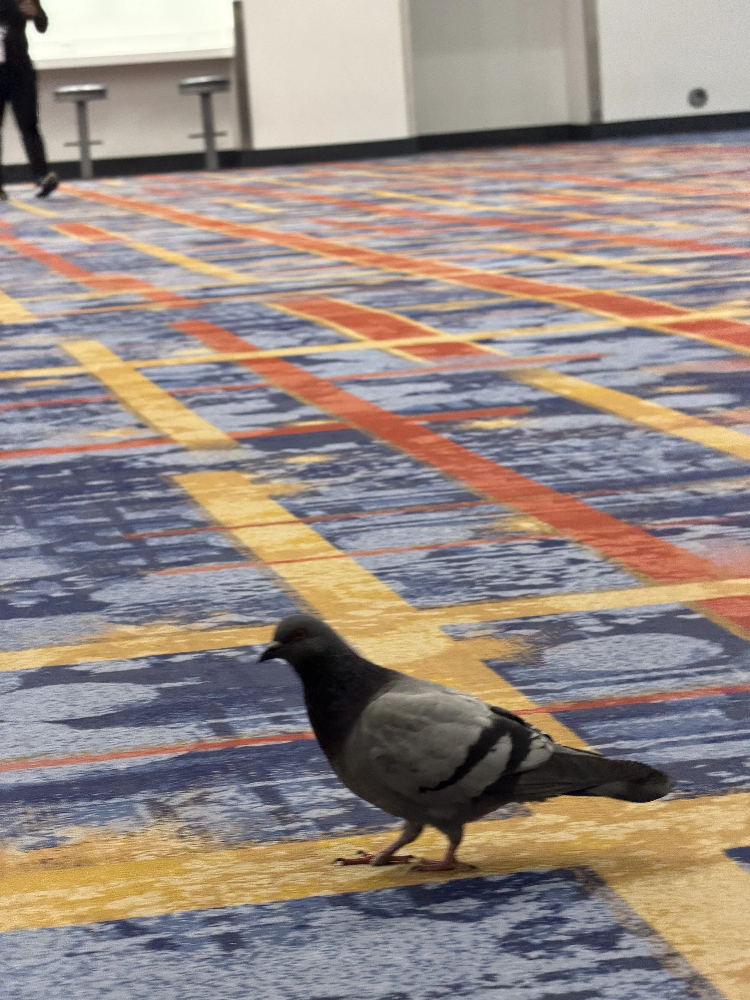 NAB 2026 Updates: See the Latest News and it’s impact on your classroom