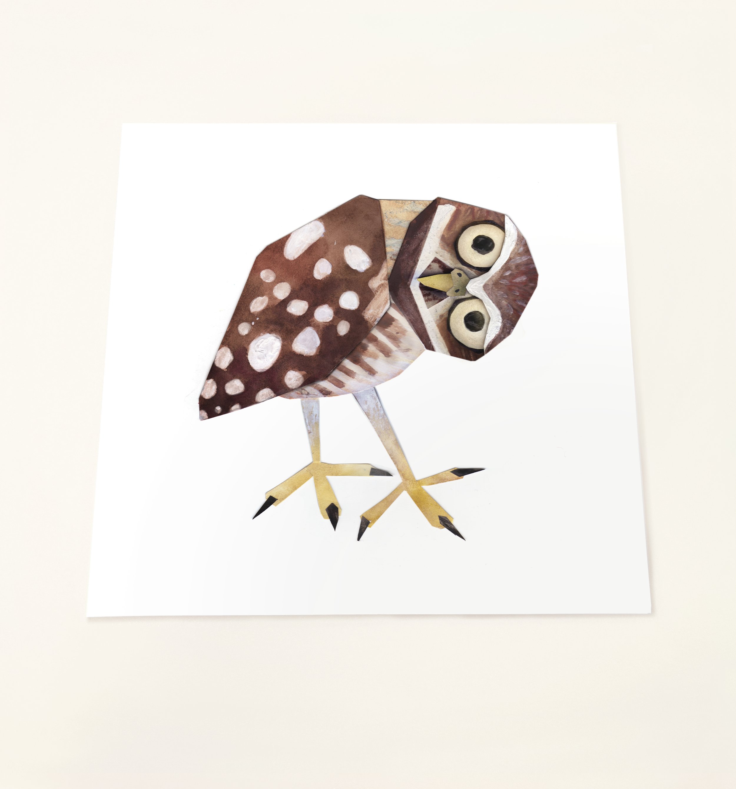 Burrowing Owl_print_Brendan_wenzel.jpg