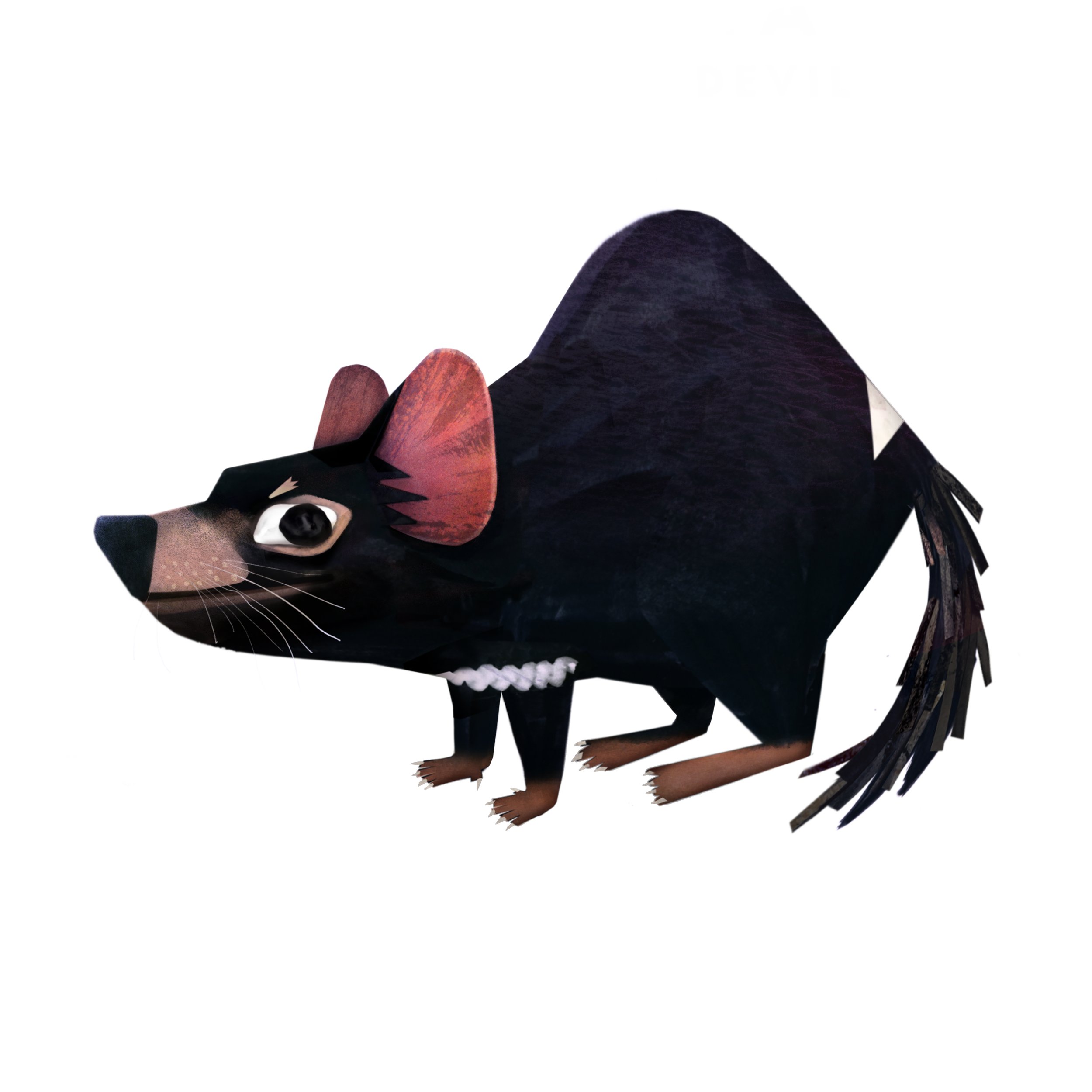 Tasmanian_Devil_image_Brendan_wenzel.jpg