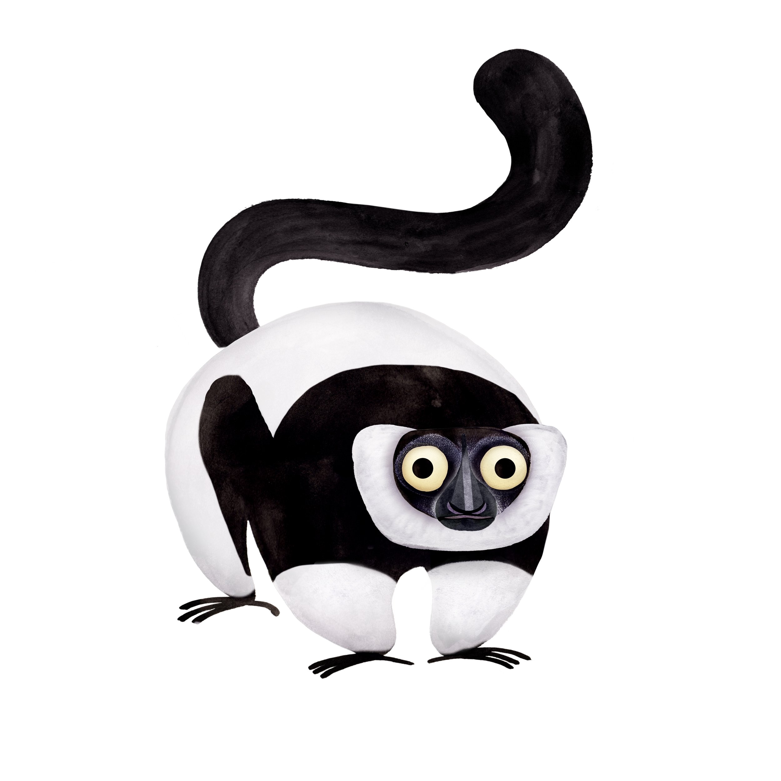 Black_and_white_Ruffed_Lemur_image_Brendan_Wenzel.jpg