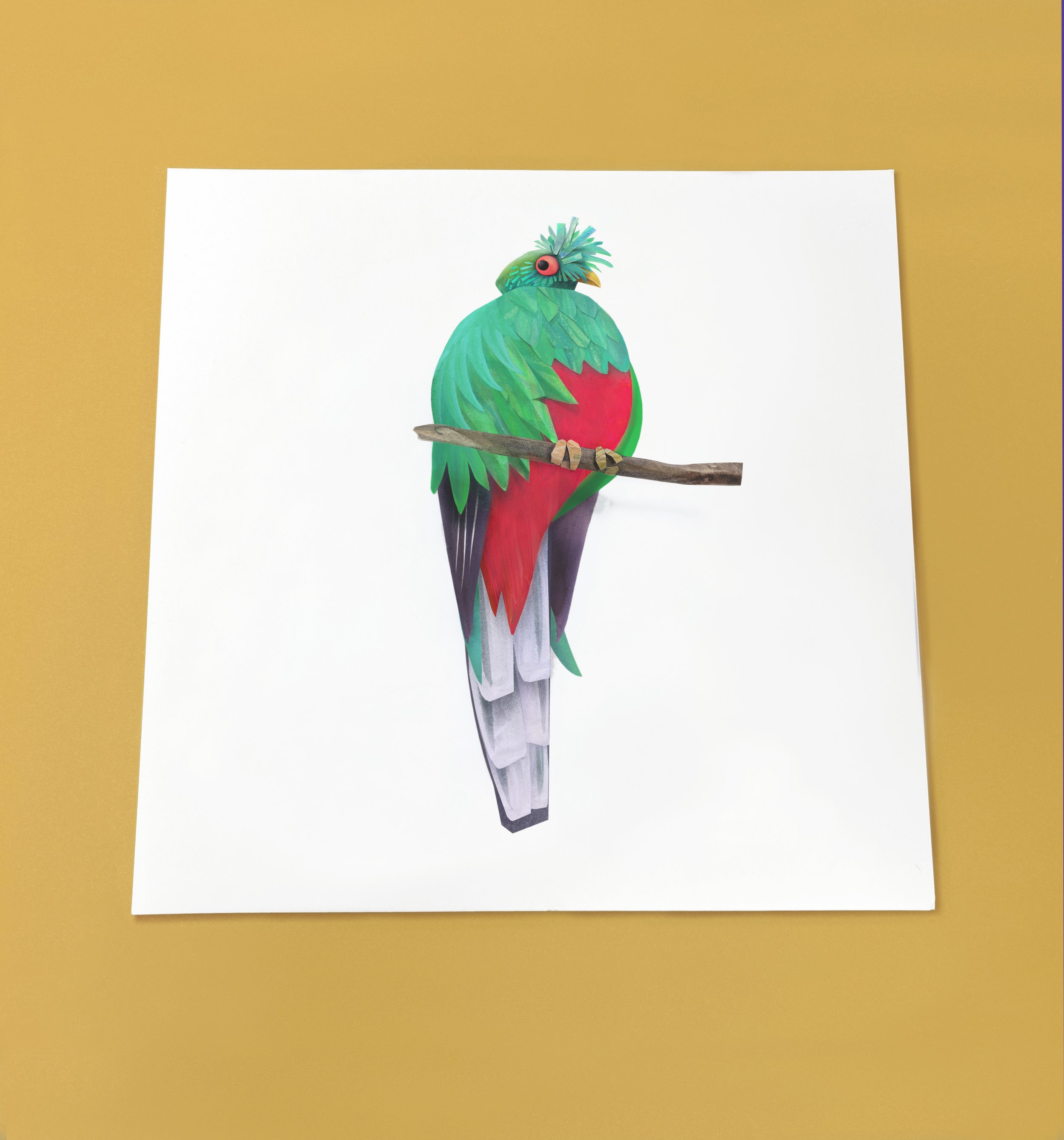 Crested Quetzal_Square copy.jpg