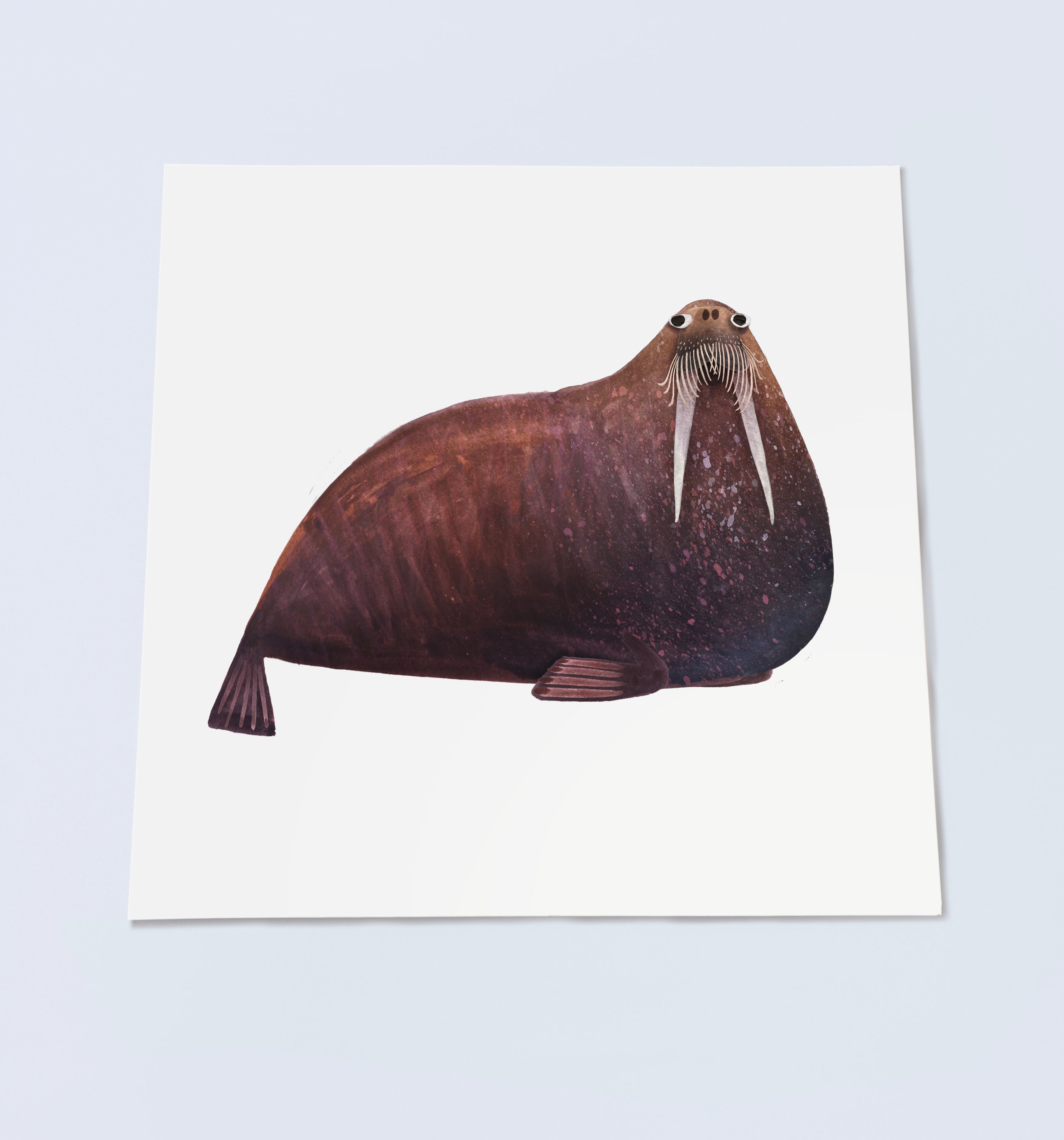 Walrus_Print_Brendan_wenzel.jpg