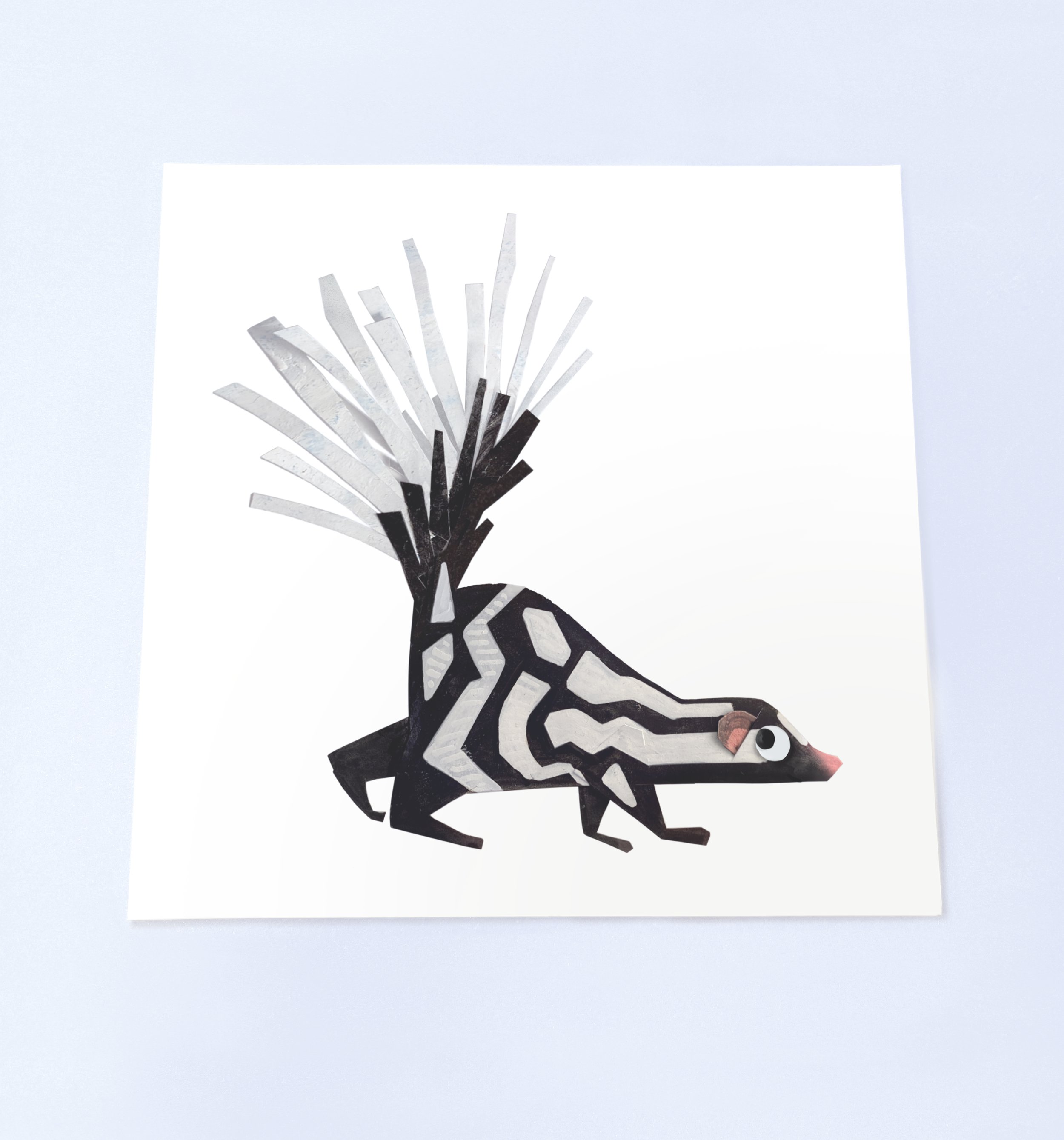 Pygmy Spotted Skunk_ Spilogale pygmaea_Wenzel.jpg