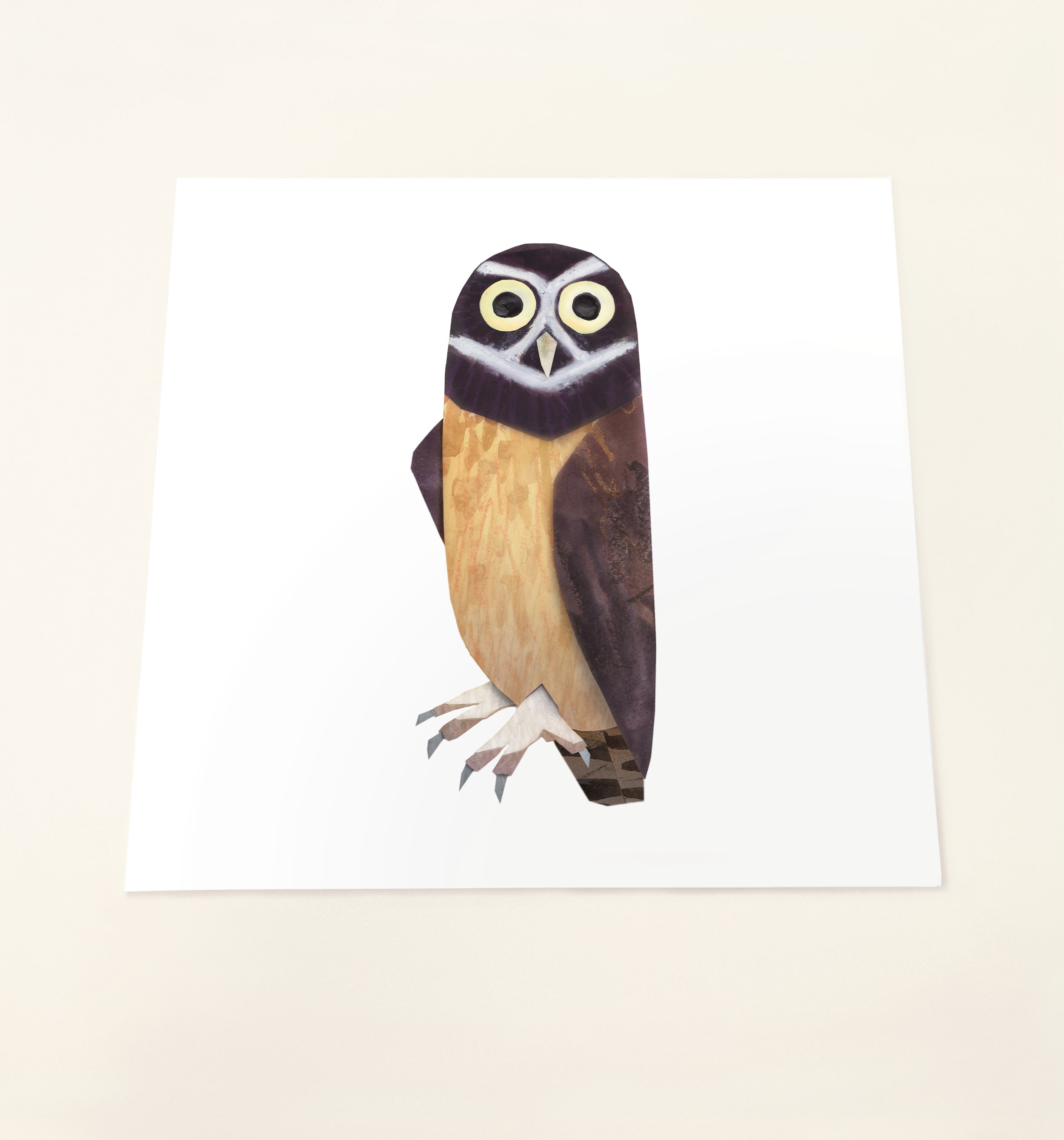 Spectacled Owl_print_Brendan_Wenzel.jpg