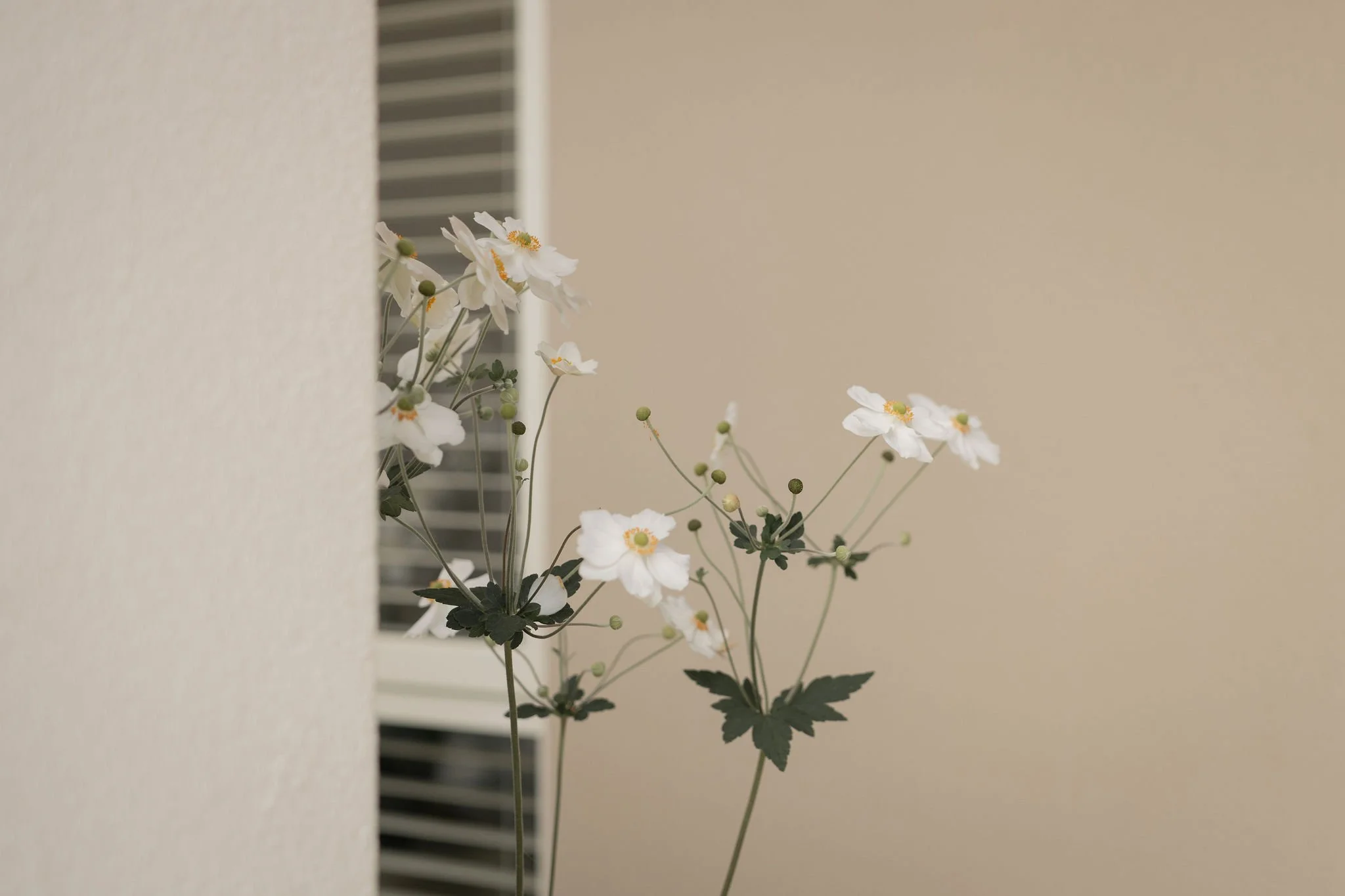 Wedding Photographer, Elope elopement outdoor adventure photos photography chch nz south island Christchurch photographer