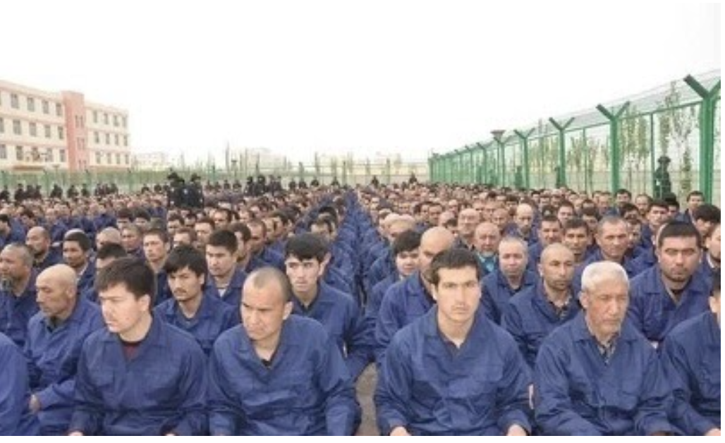 Image Credit: Wikipedia