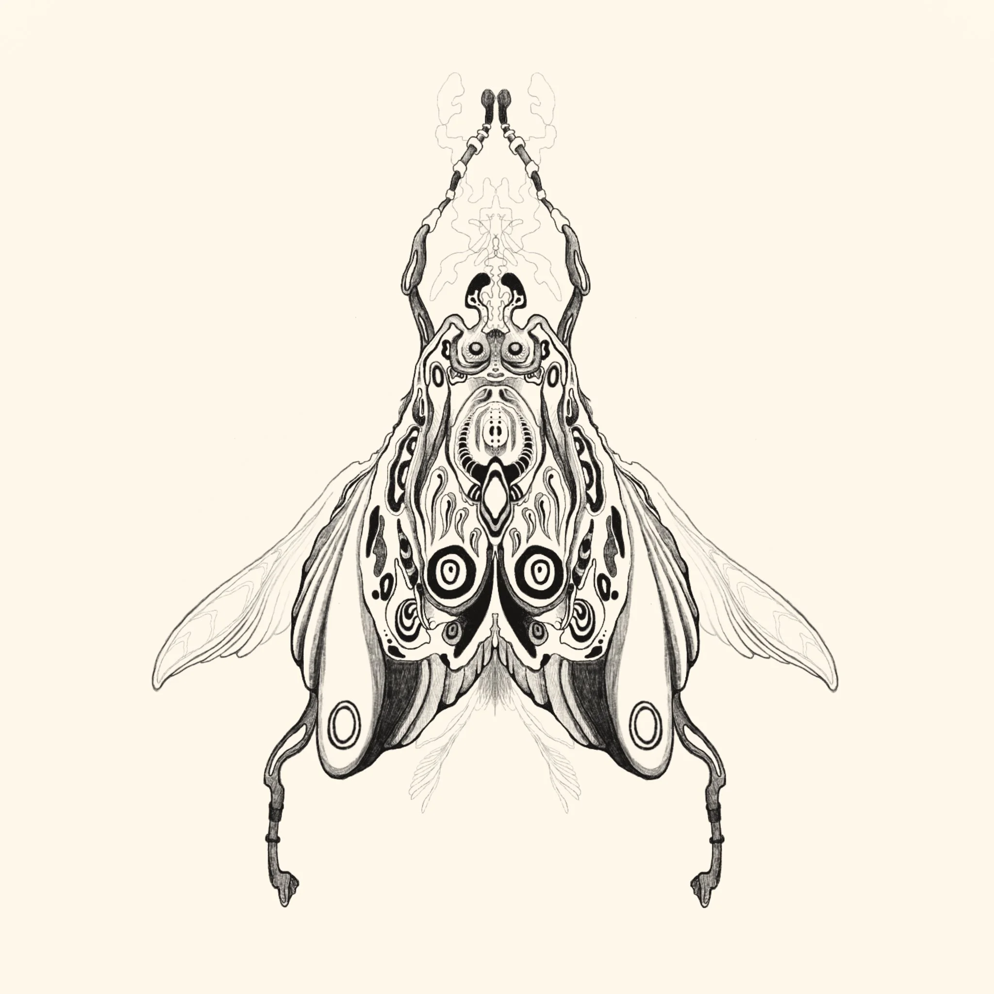 Untitled_Artwork 16.jpg