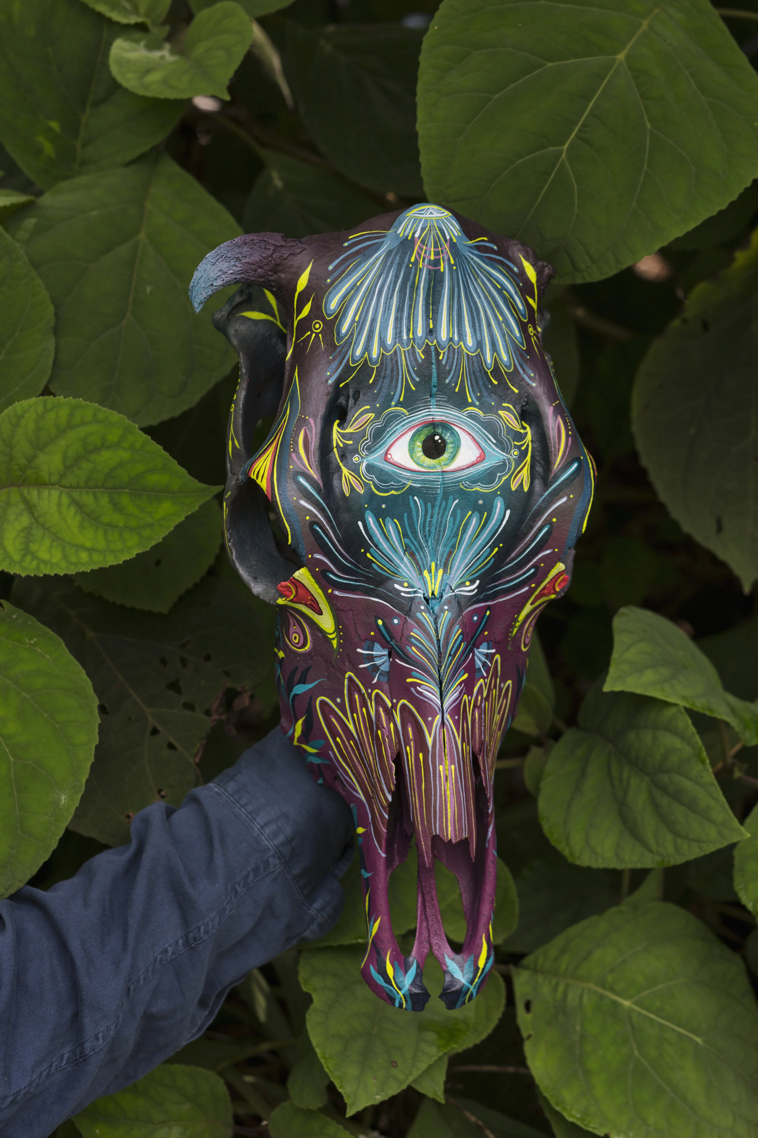 Edited skull 2.jpg