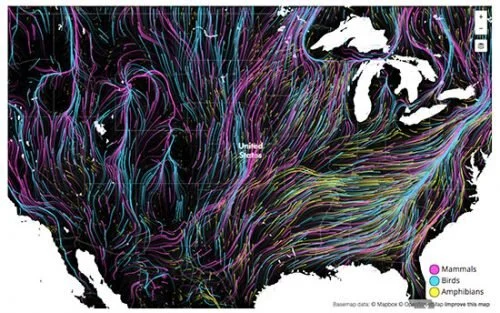 Migration map across United States