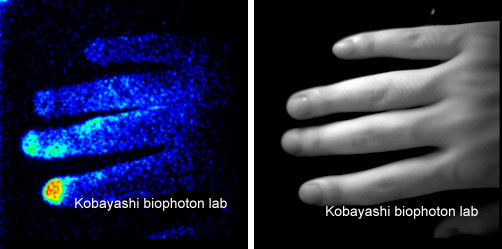 Fingertip of a smoker releasing biophotons