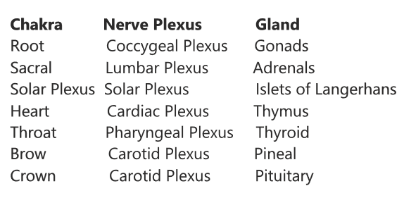 ChakraEndo.png