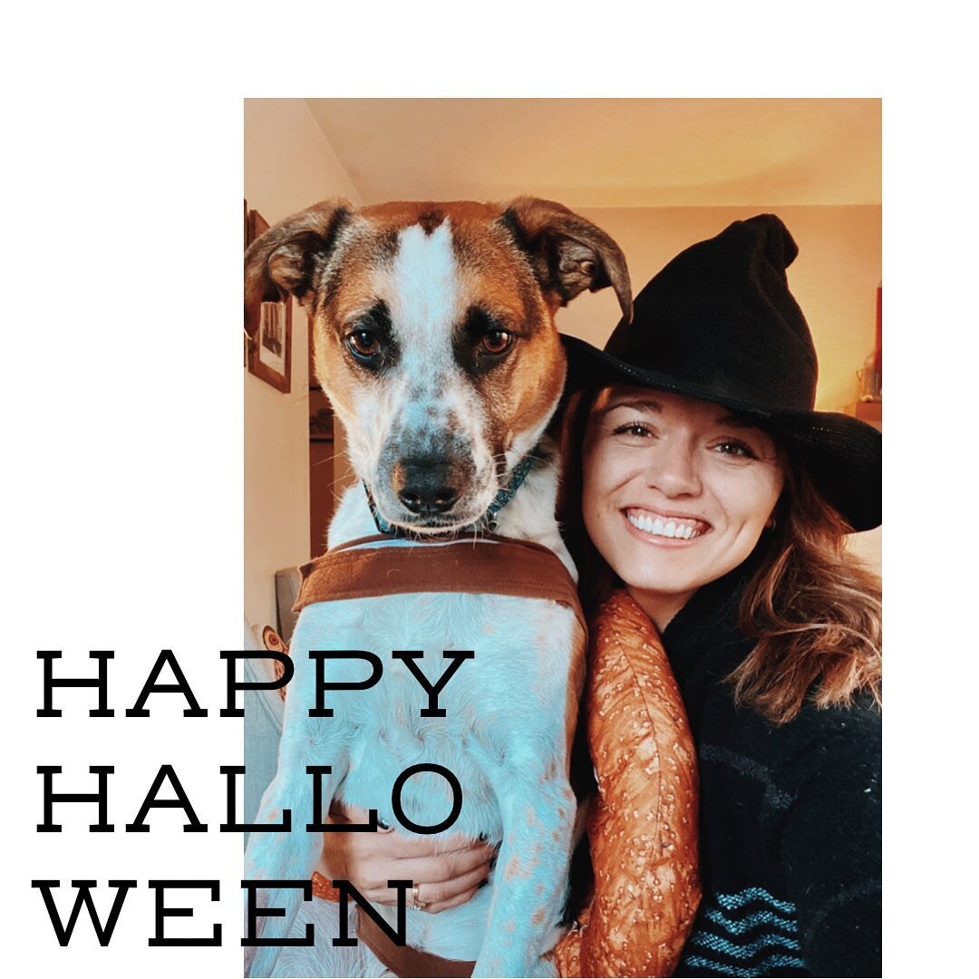 Happy Halloween from your favorite Spotted Dog employees!
.
.
.
#spotteddogmarketing #halloween #mongrelmarketing #marketing #mongrel #dogsofinstagram #dog #pretzel #pretzeldog #witch #spooky #forfun
