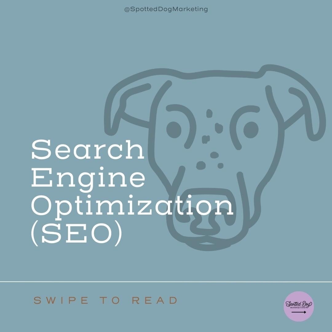 Make your business ✨thrive✨ with strategies to boost your website! Swipe through to learn more about search engine optimization (SEO)⏩️