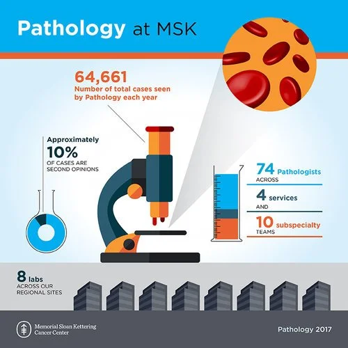 Pathology_infographic_r5-01.jpg