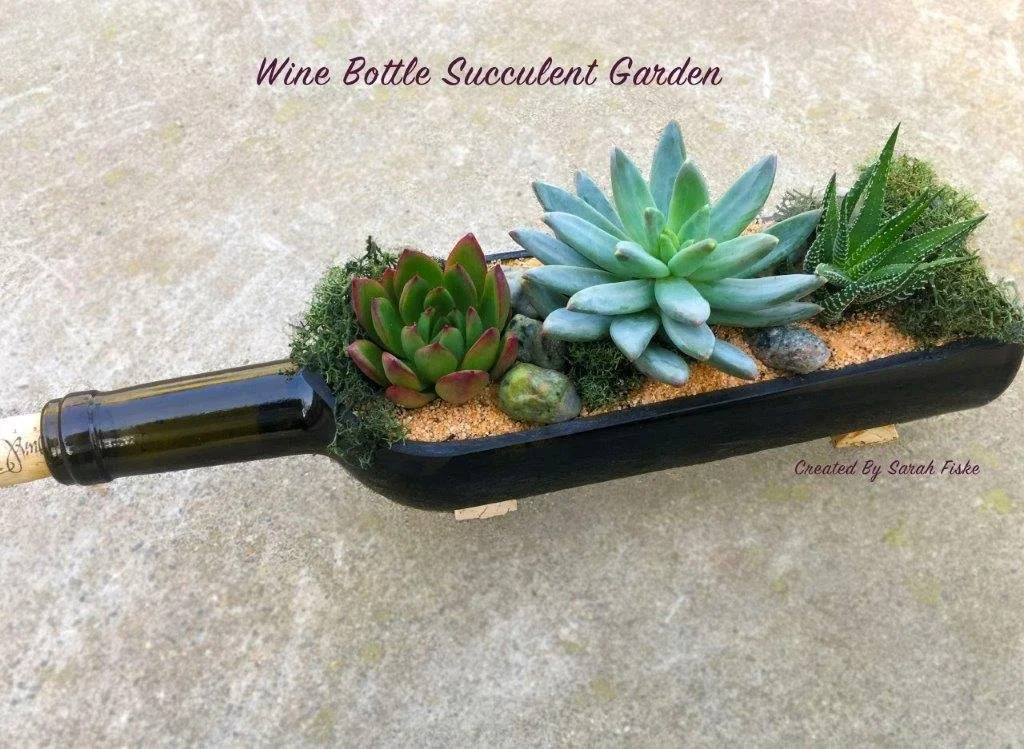 Wine Bottle Succulent.jpg