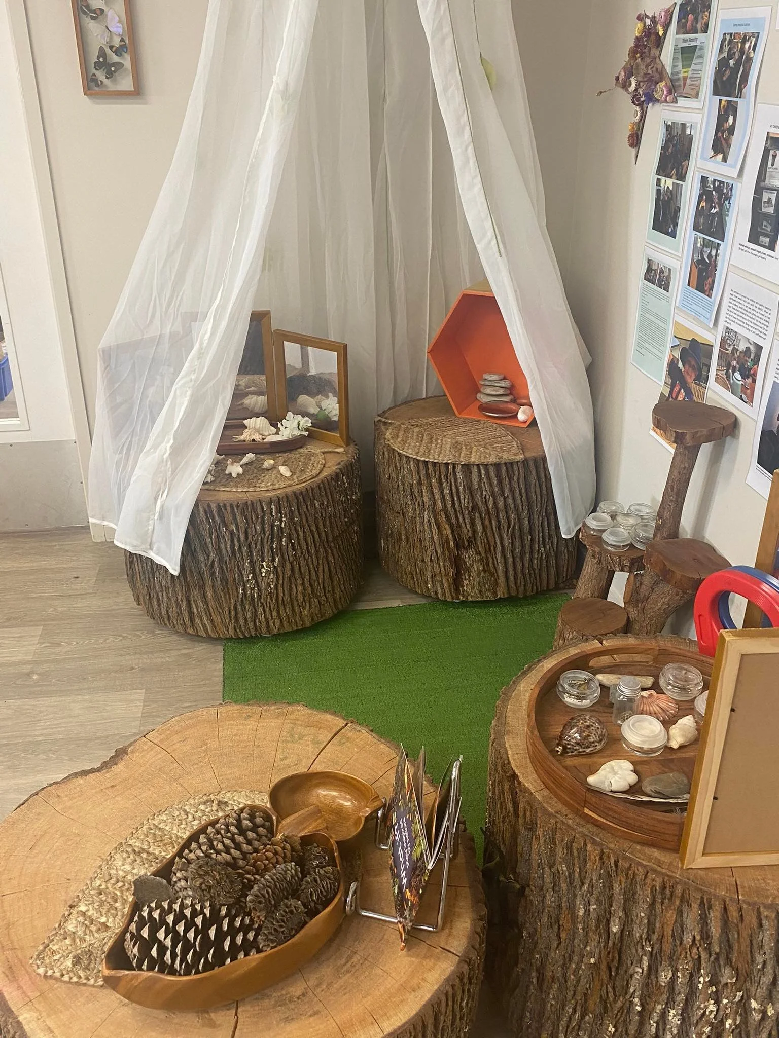 Inside -science and nature corner.jpg