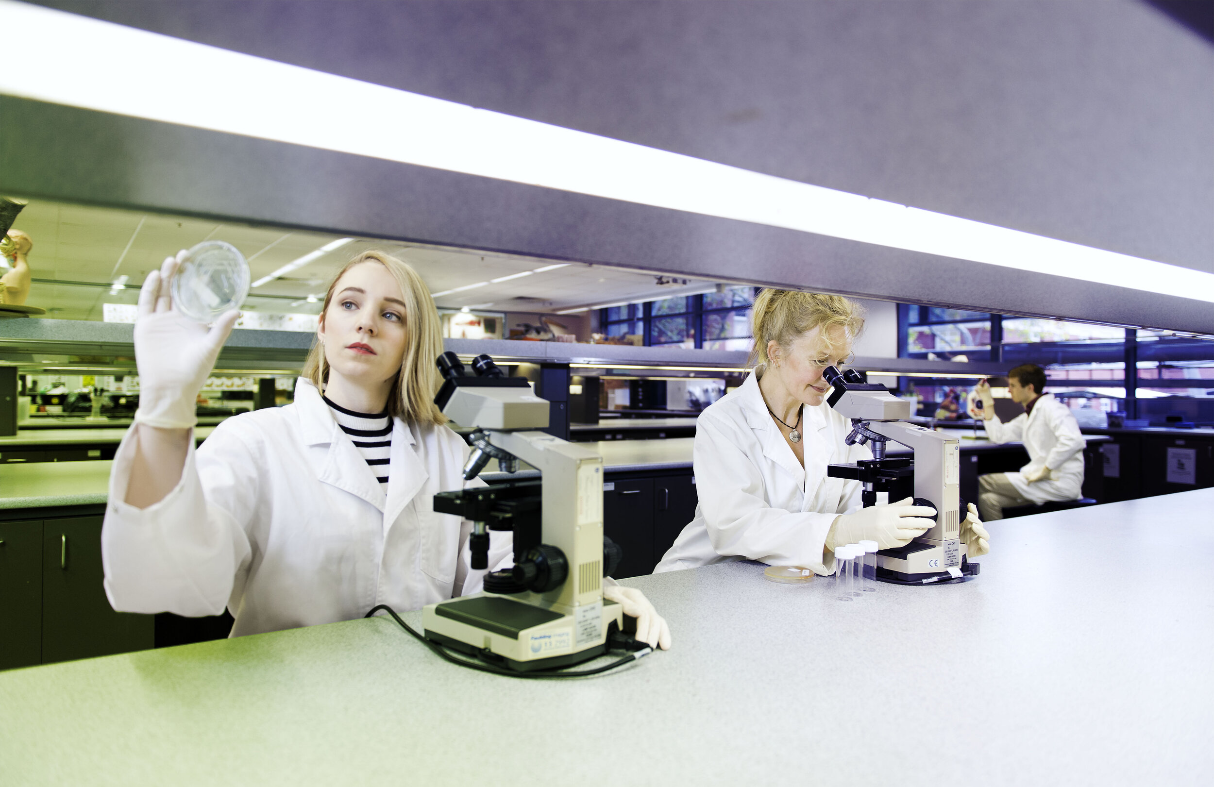 University of South Australia