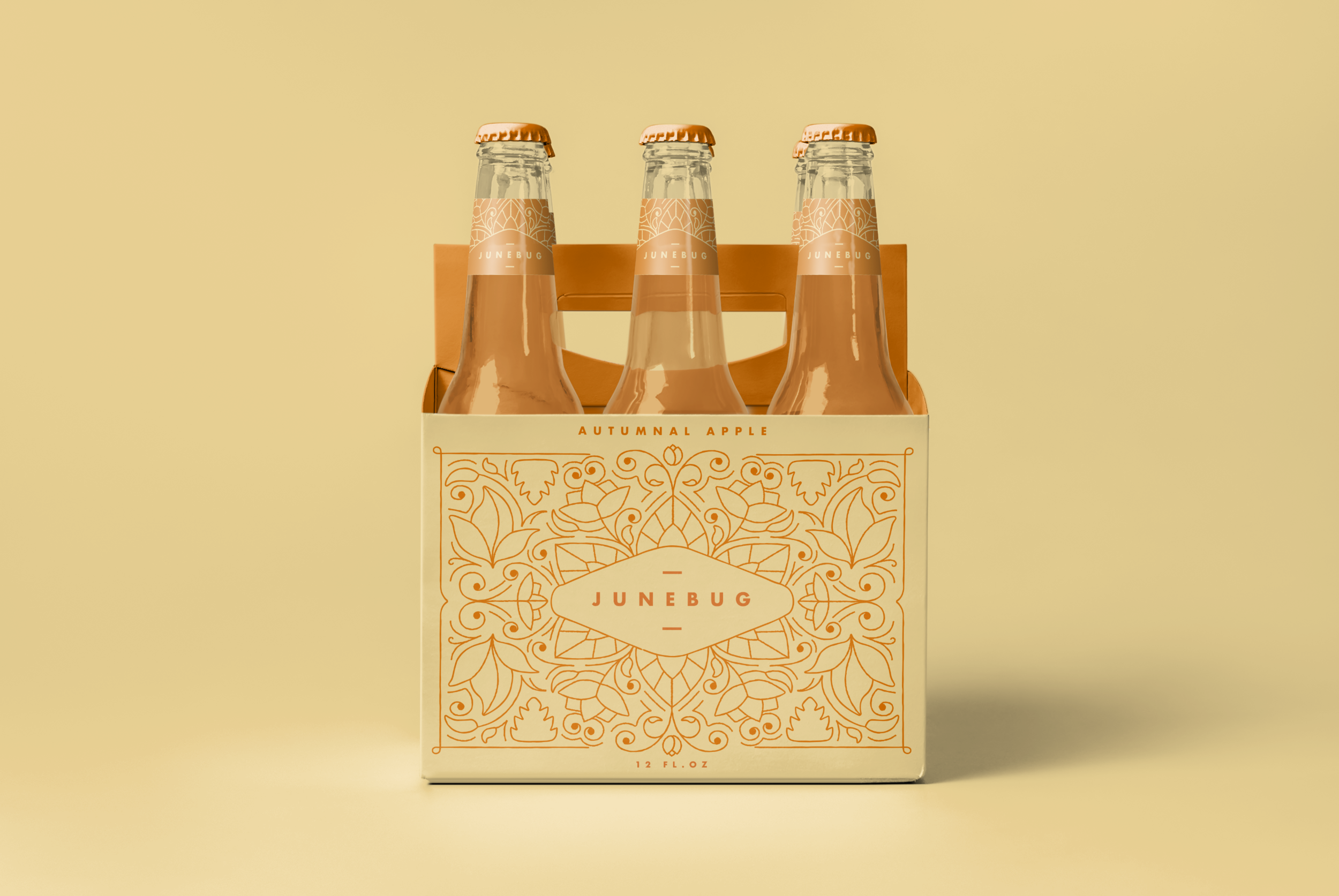 Orange view_Packaging.png