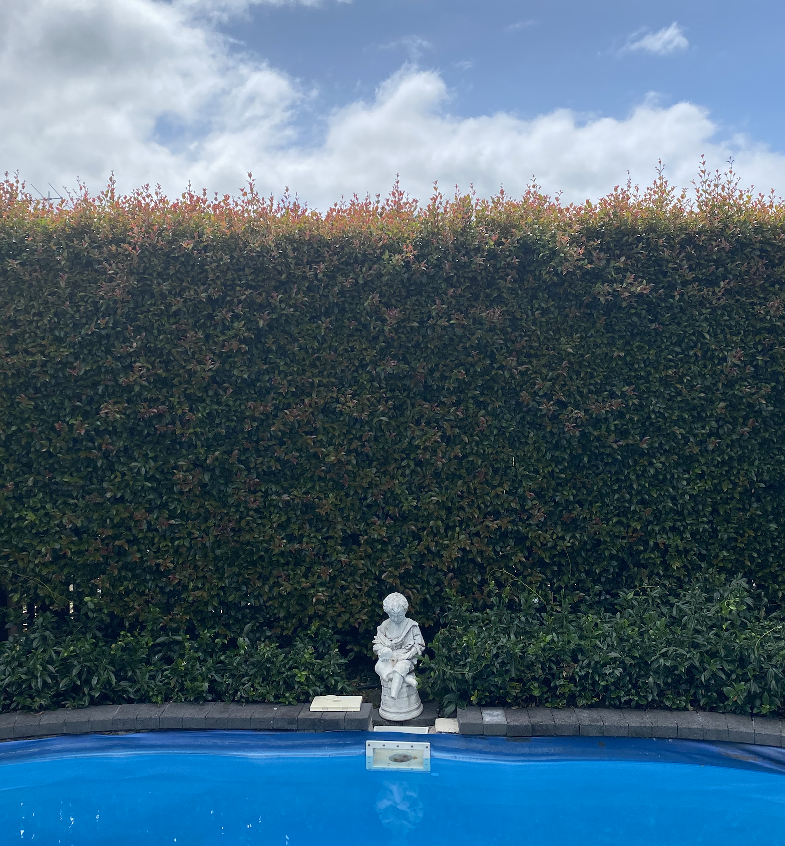 Screen Shot 2020-03-15 at 10.22.24 AM.png