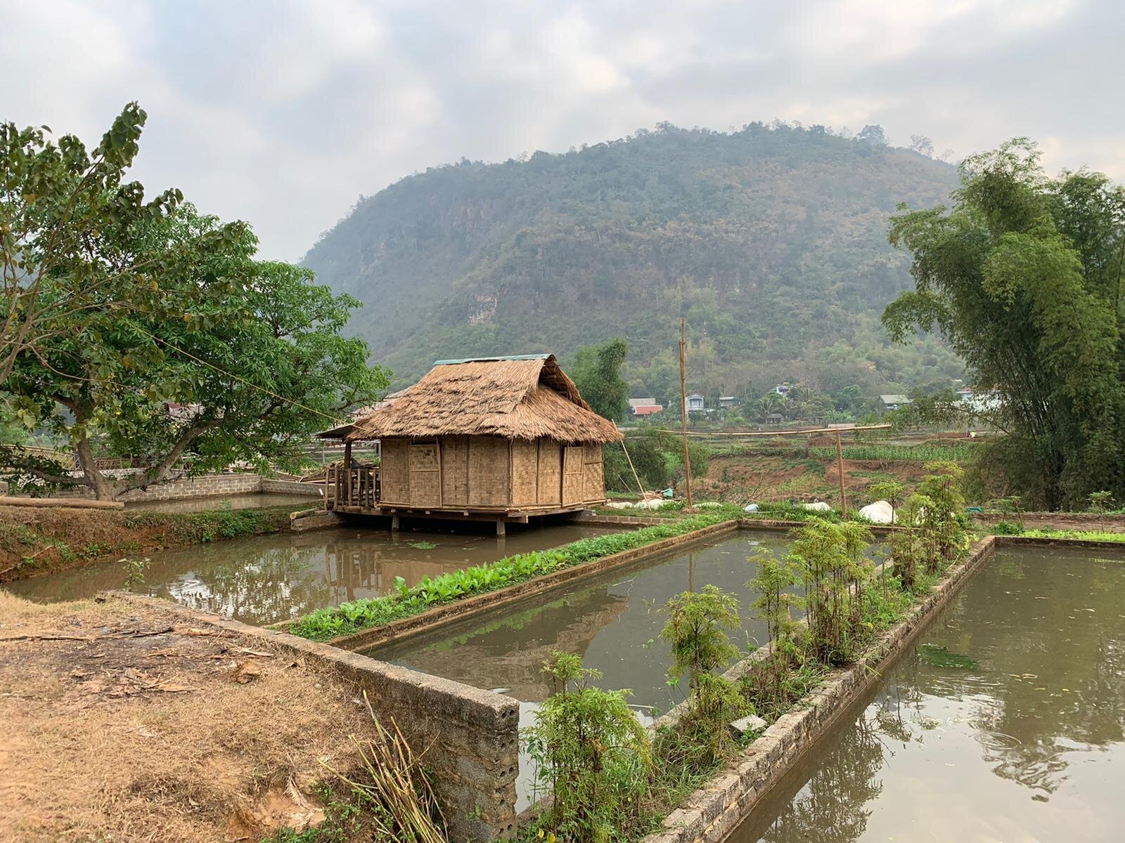 traditional village life while on placement in vietnam.jpg