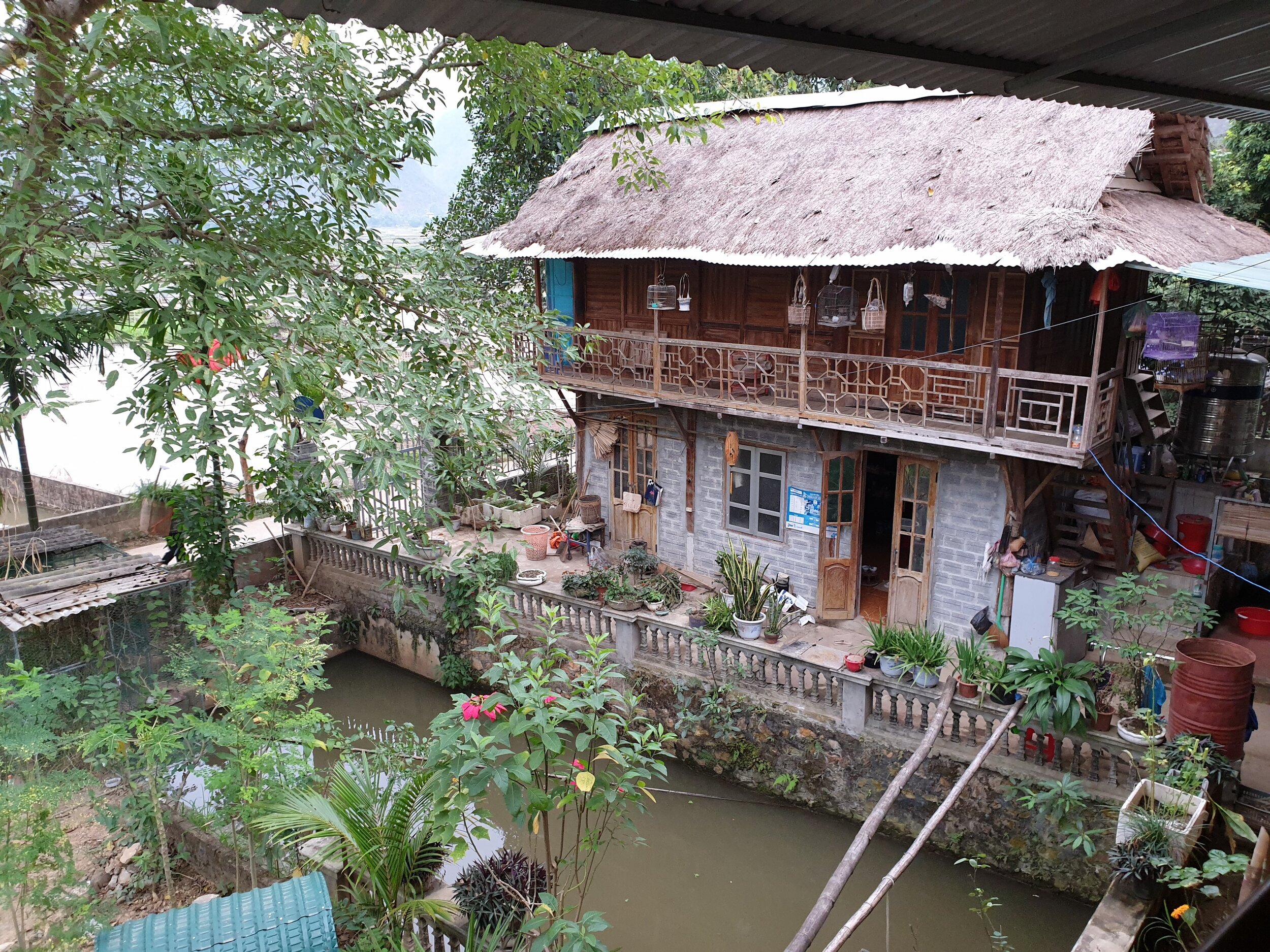 homestay in vietnam while on clinical placement.jpg