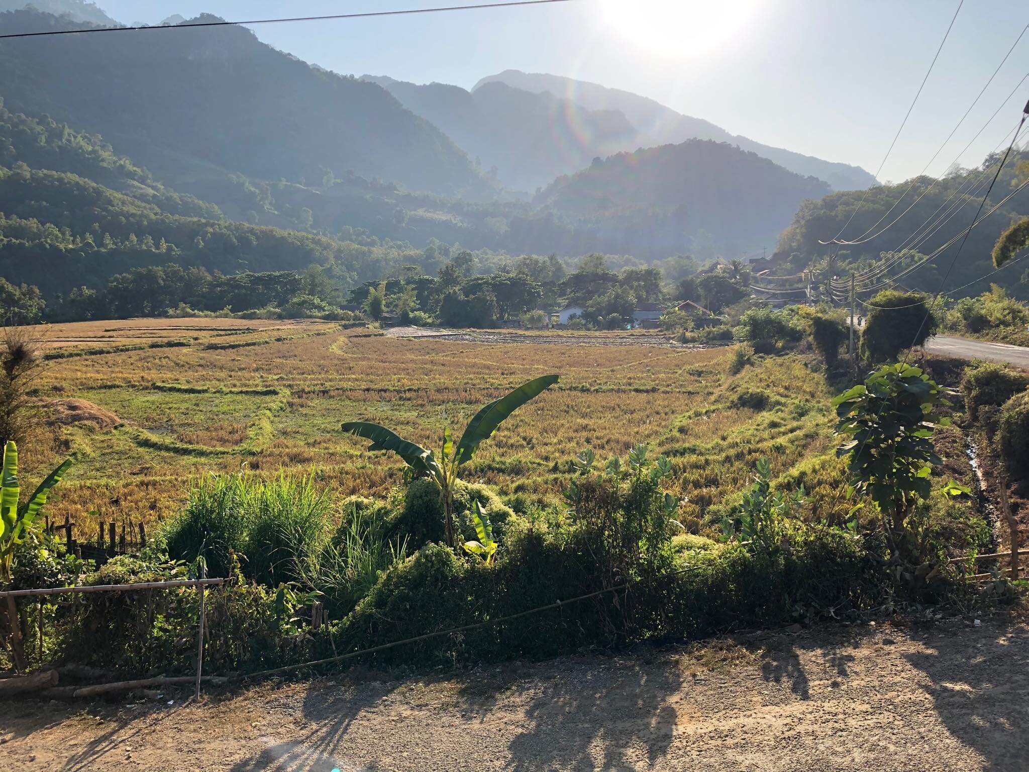 view of rice paddies while on clinical placement in laos.jpeg