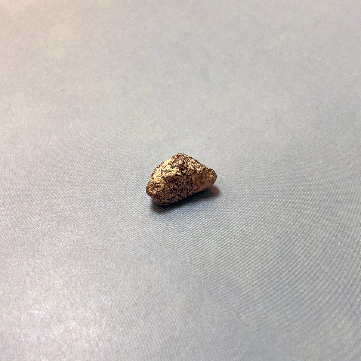 "Every Goddamn Day" Ownership Rock