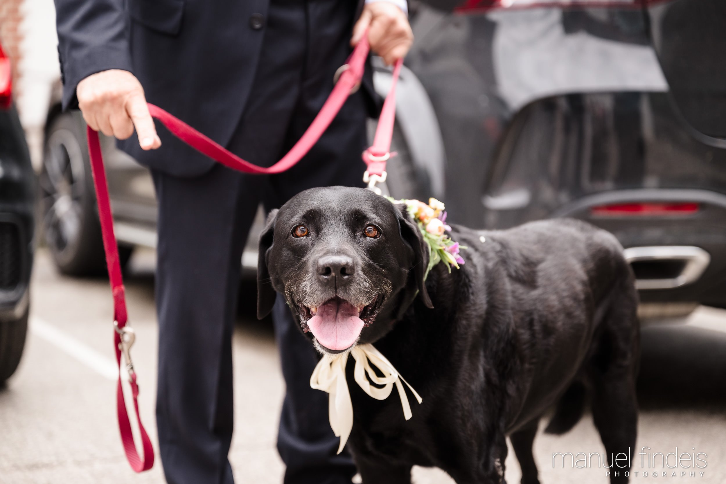 0508_Hochzeit-AuJ_www.manuelfindeis.com.jpg
