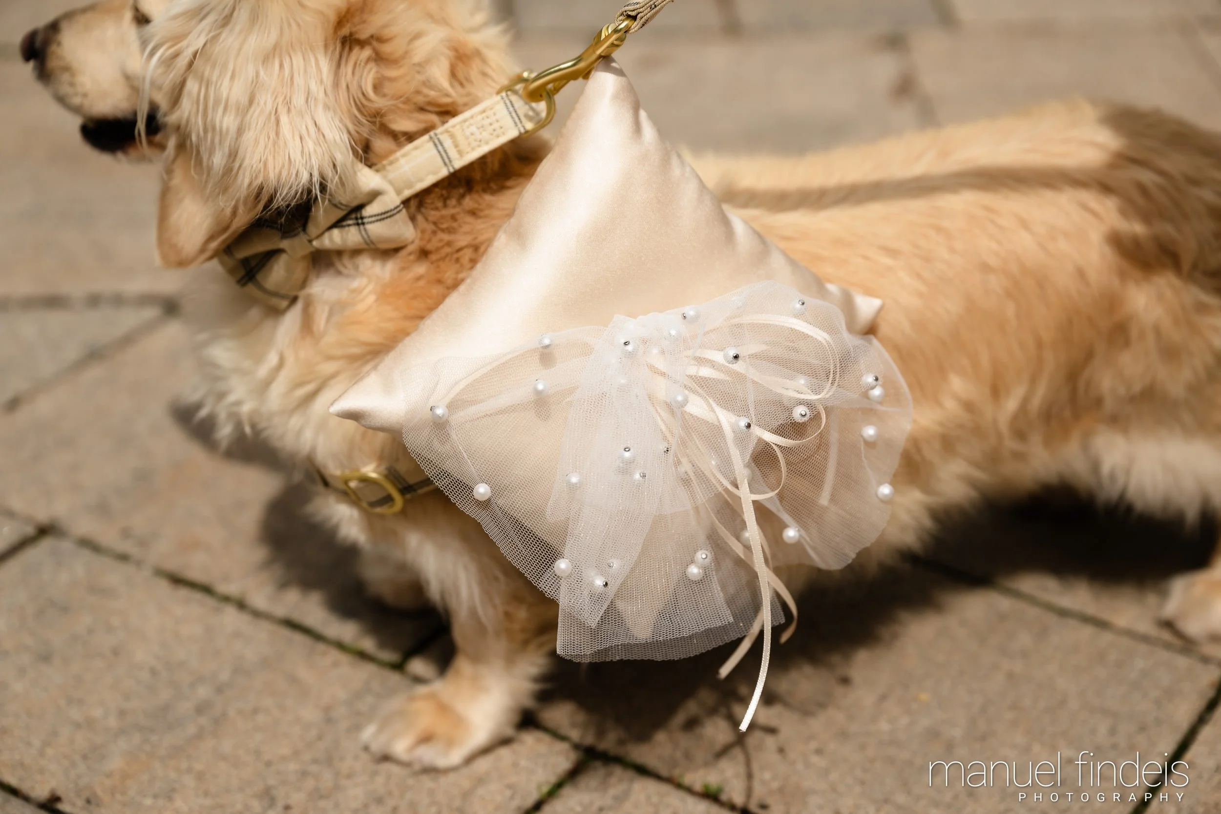 0171_Hochzeit_RundS_www.manuelfindeis.com.jpg