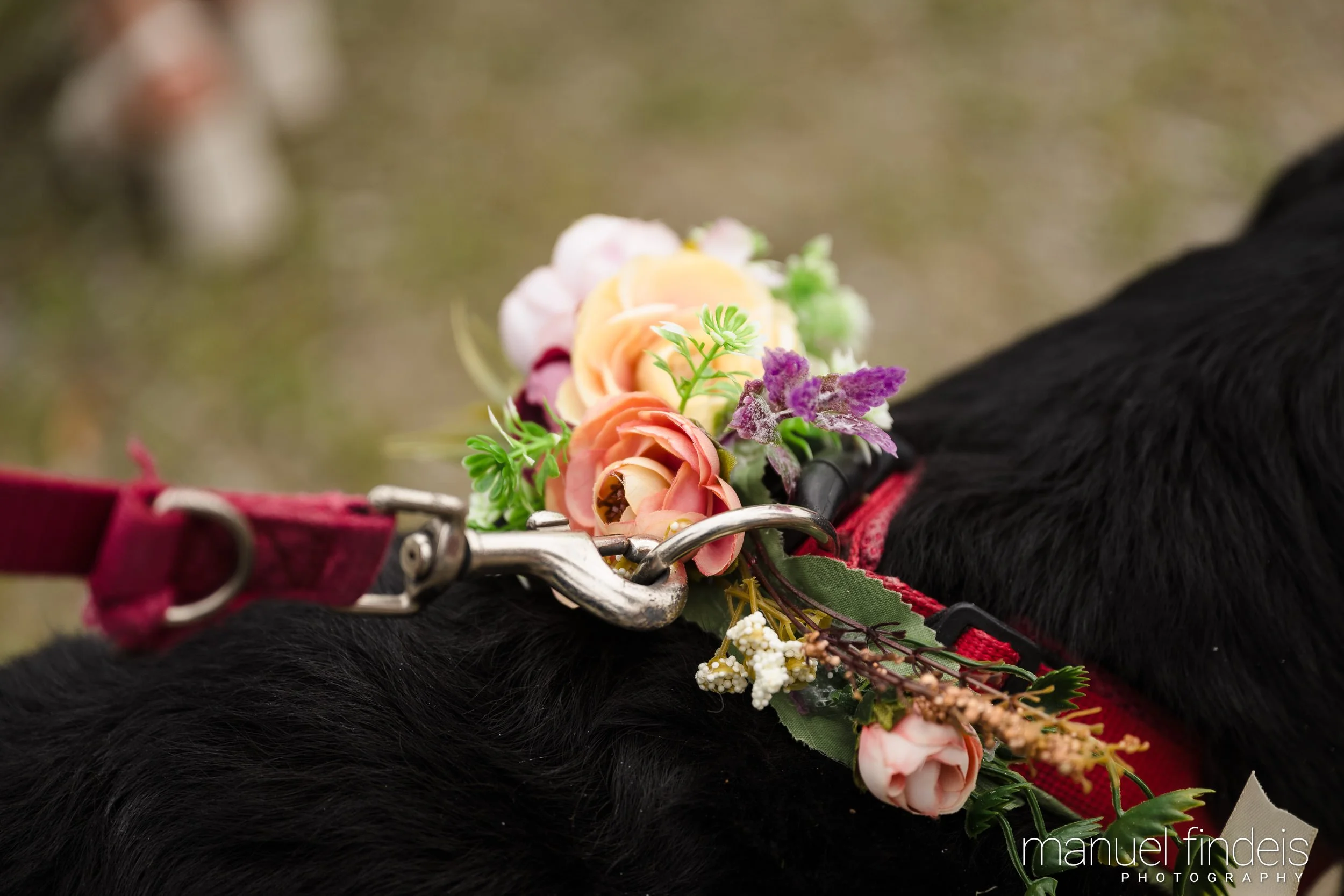 0651_Hochzeit-AuJ_www.manuelfindeis.com.jpg