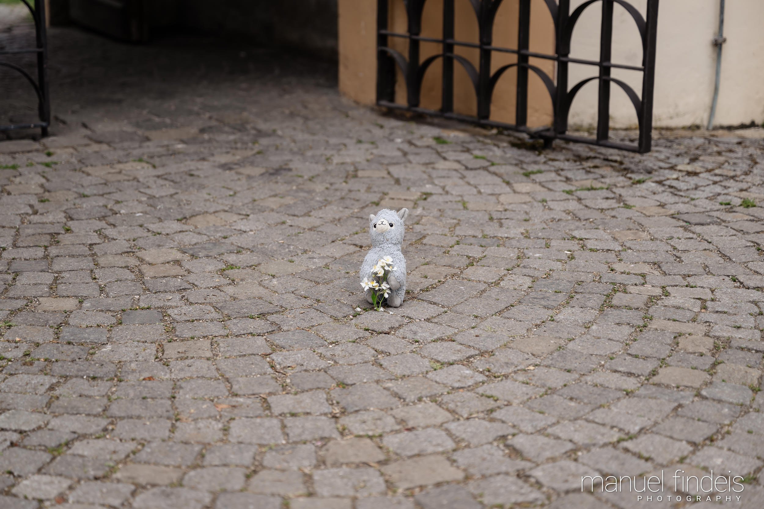 0005_Hochzeit_RuS_www.manuelfindeis.com.jpg