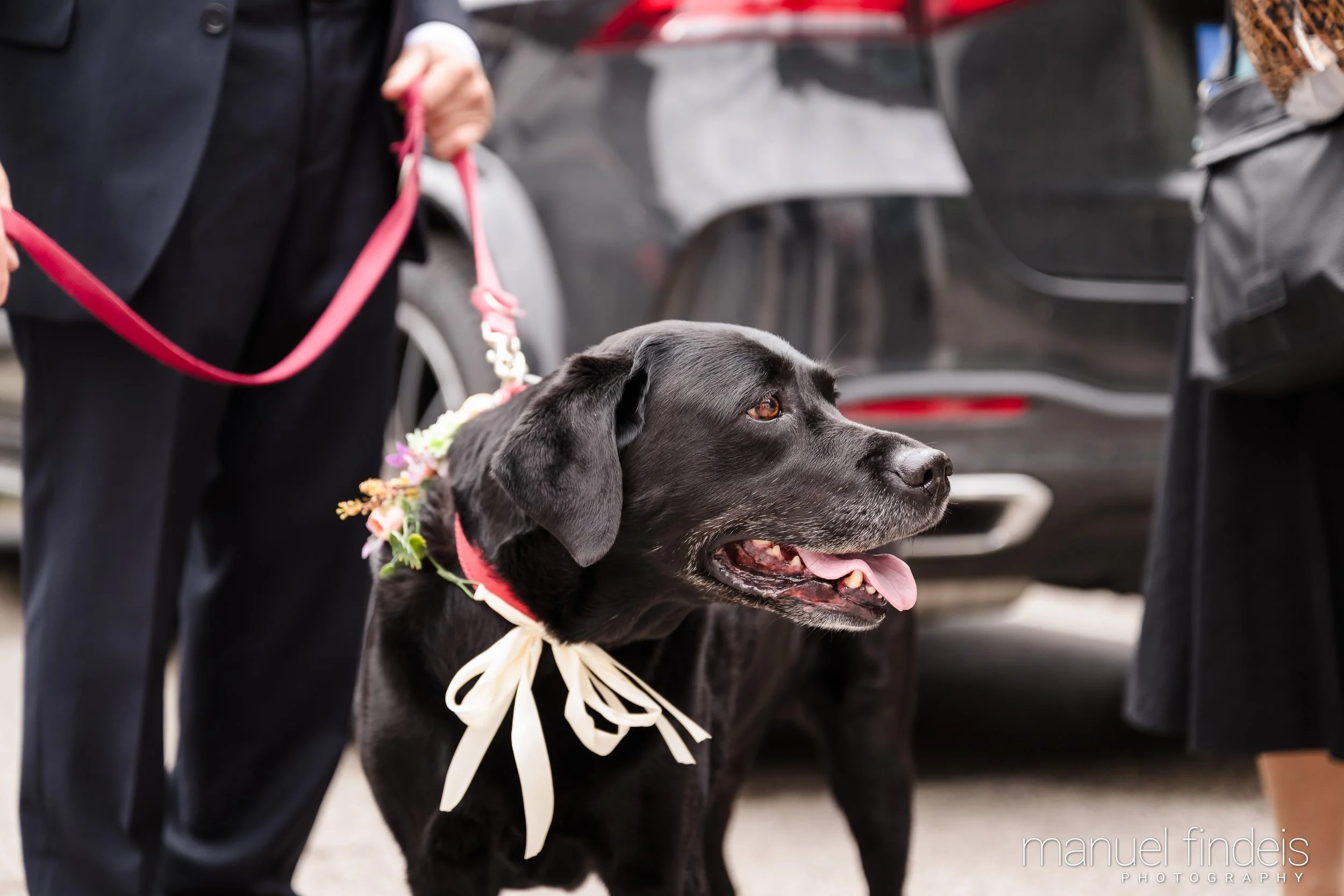 0509_Hochzeit-AuJ_www.manuelfindeis.com.jpg