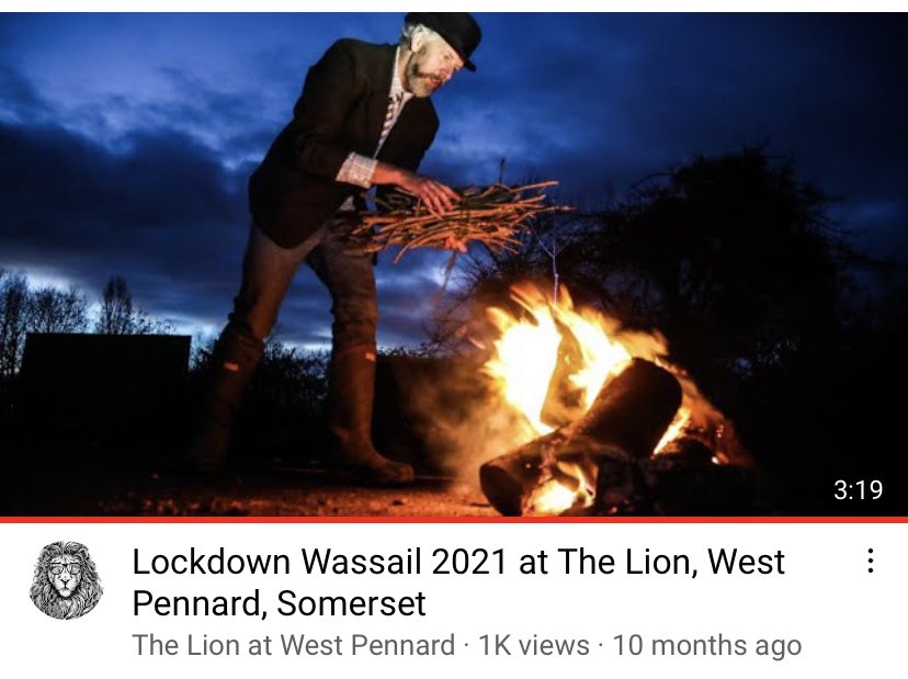 Video production - bringing The Lion to life on YouTube and across social media