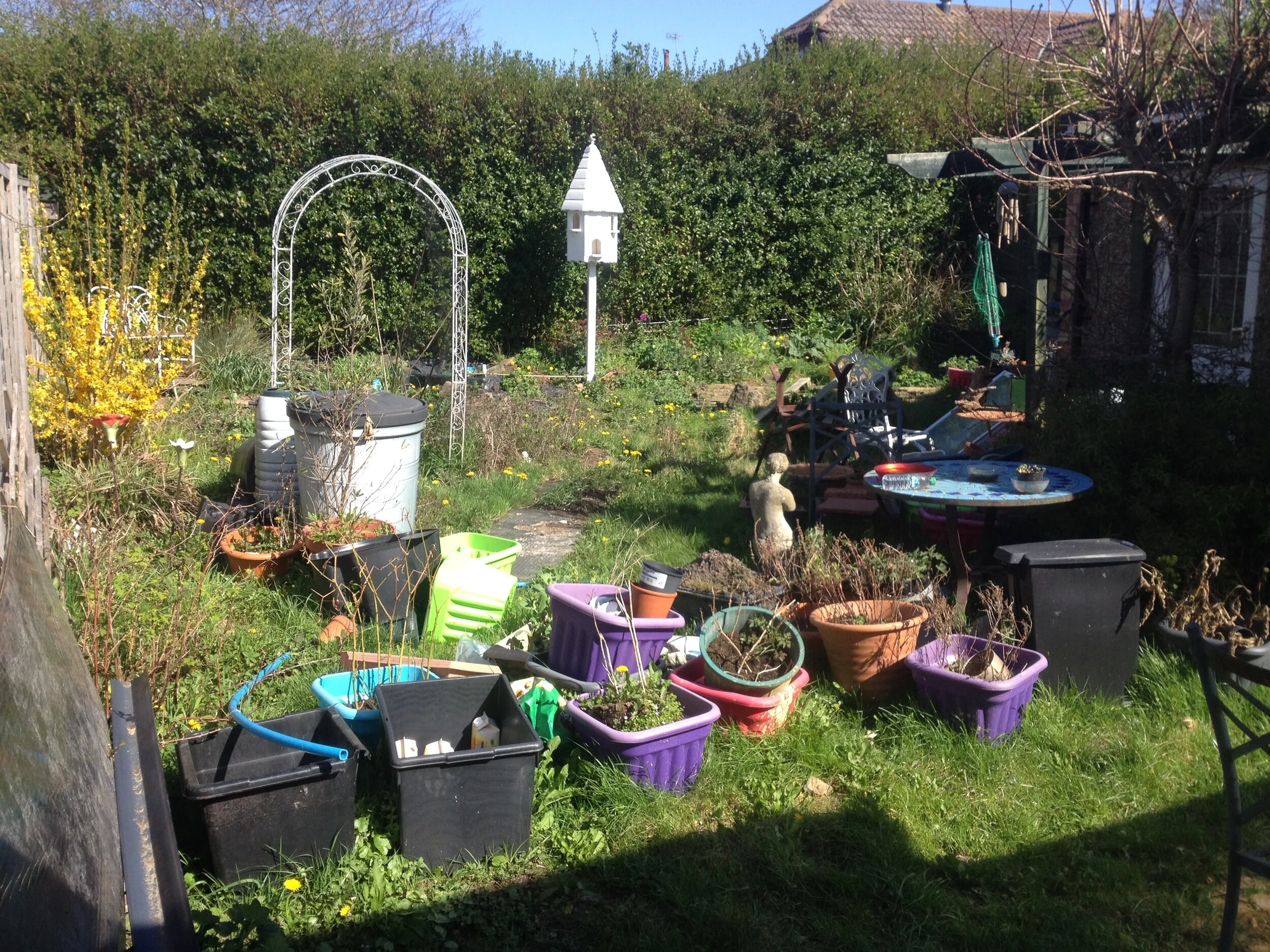 BEFORE: The garden when we started