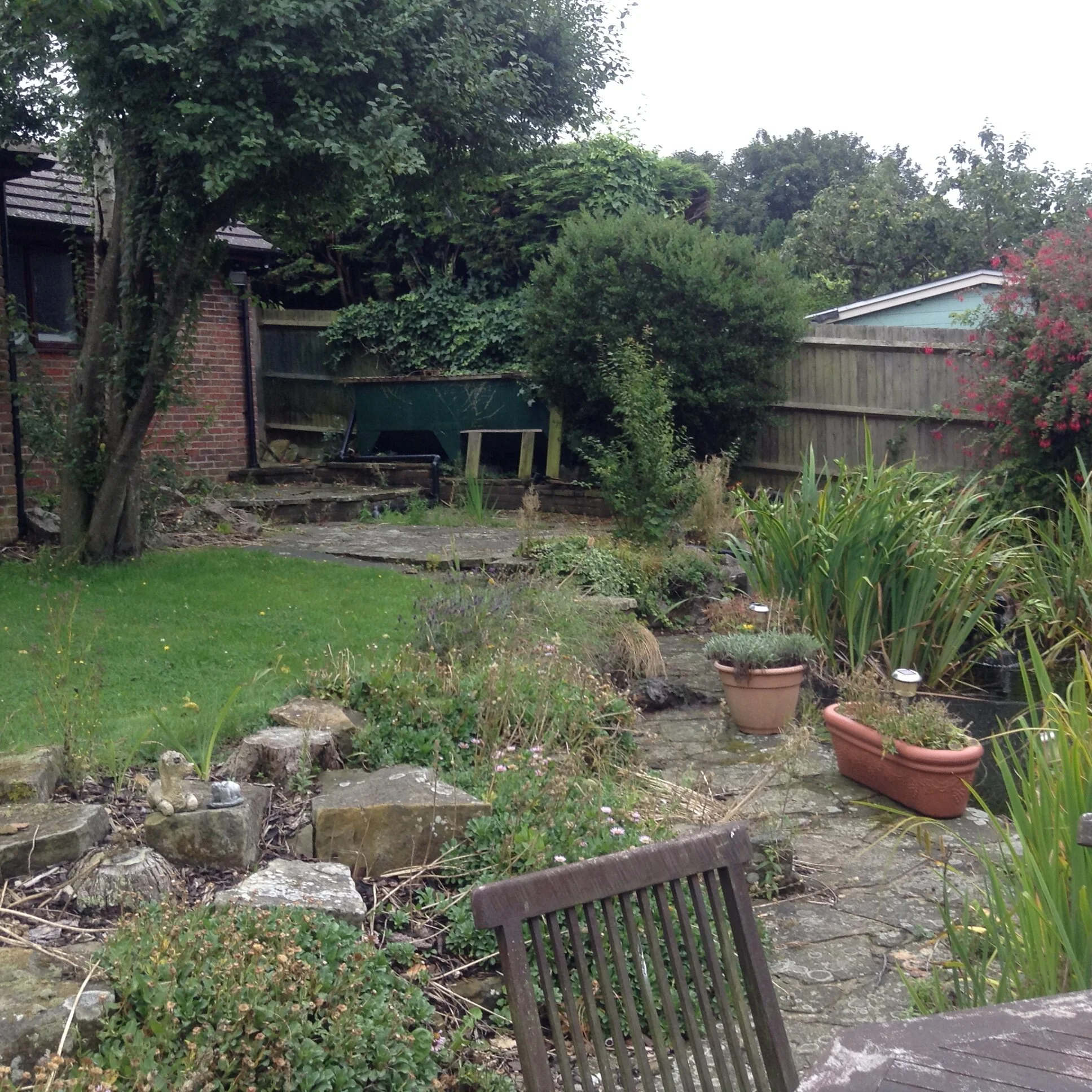 BEFORE: The garden before we began
