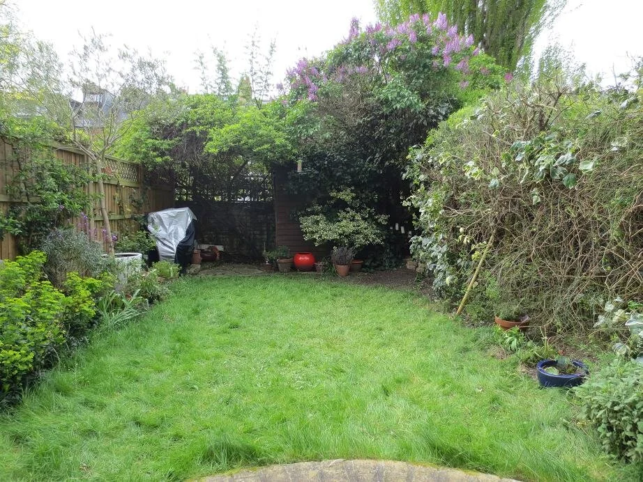 BEFORE: The garden before work began