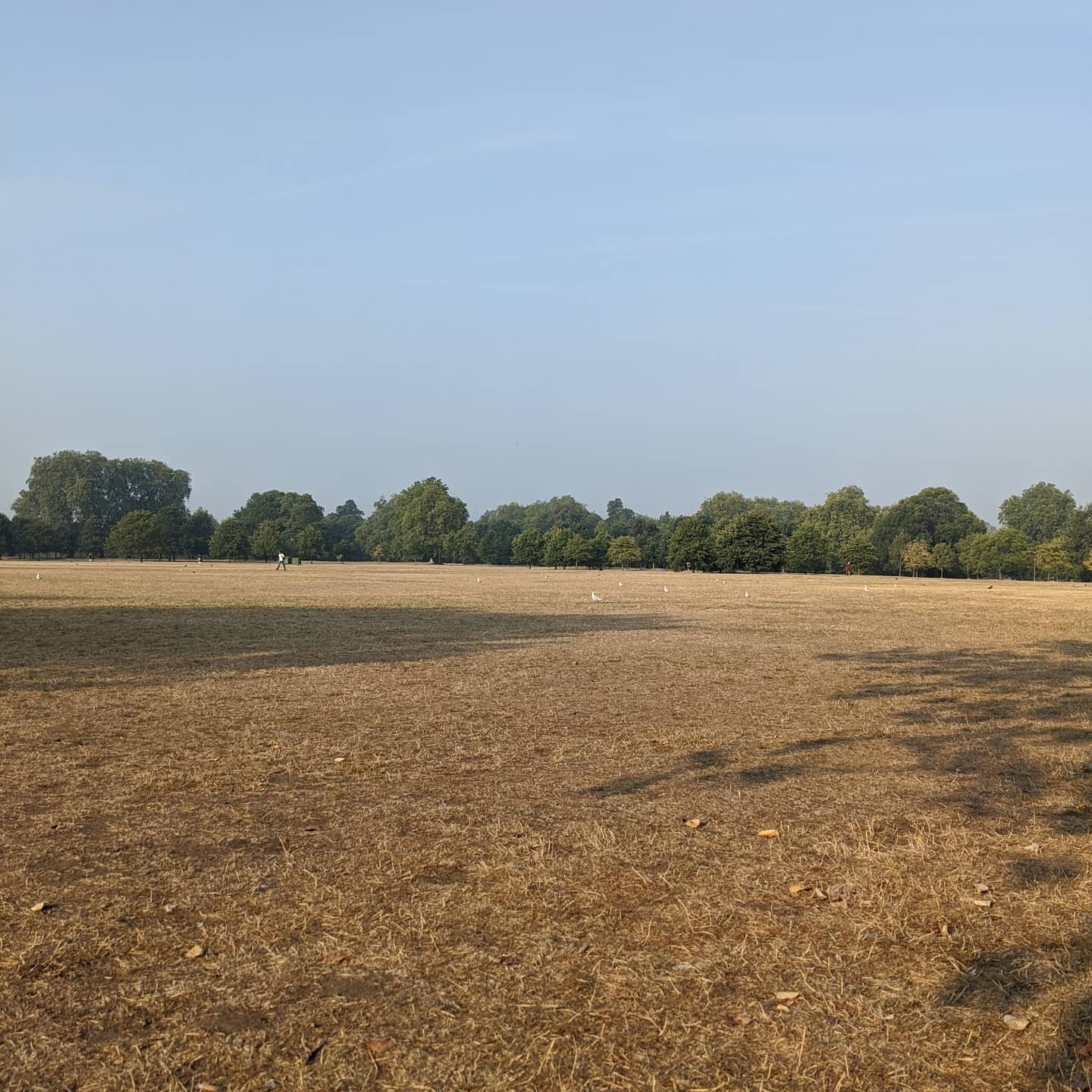 What a lovely morning in Hyde Park - Waiting to start acceptance testing  #lovelymorning #london #sestechnologiesuk #anpr #qpark